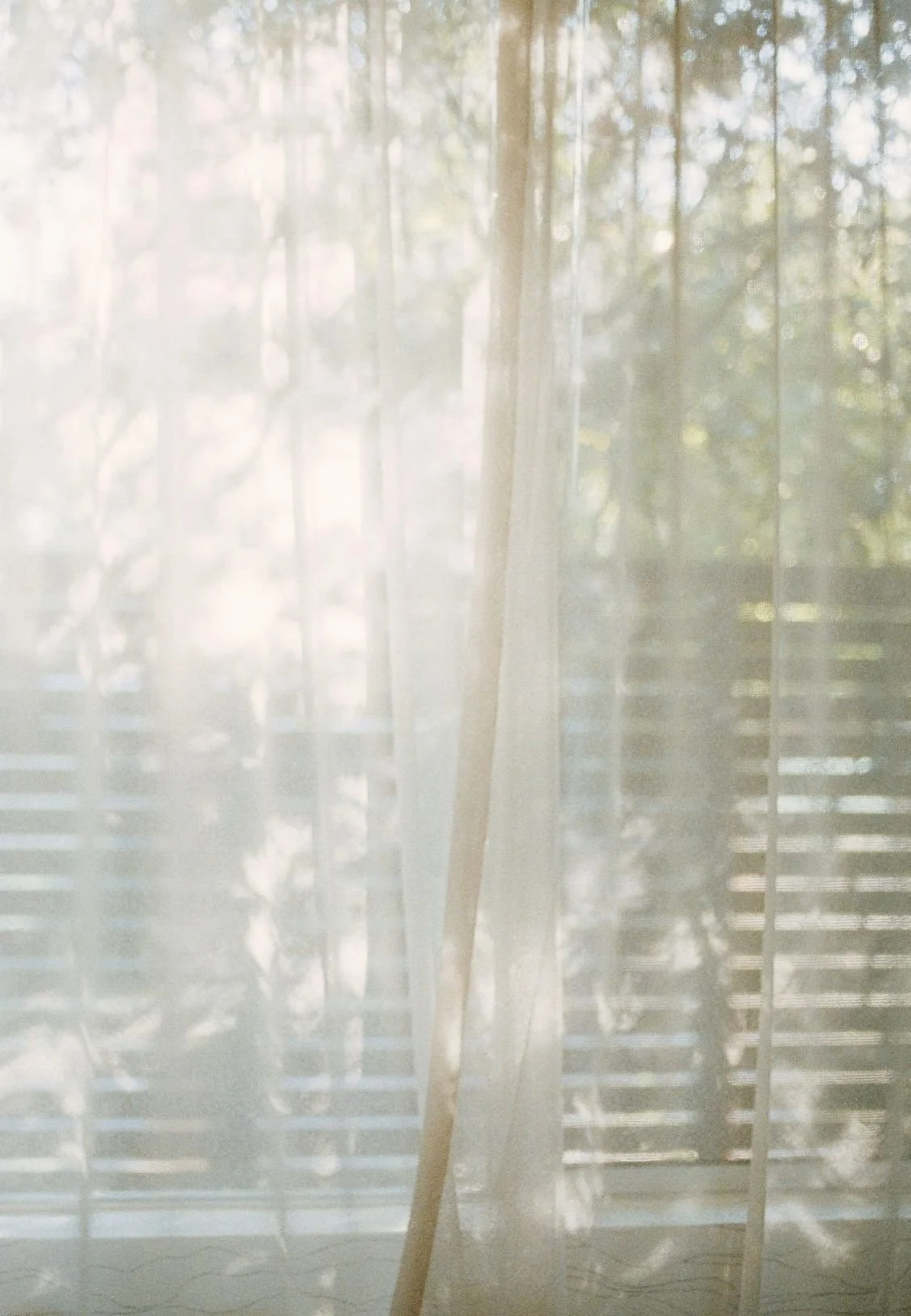 Sunlight illuminating sheer white curtains with window blinds and trees outside.