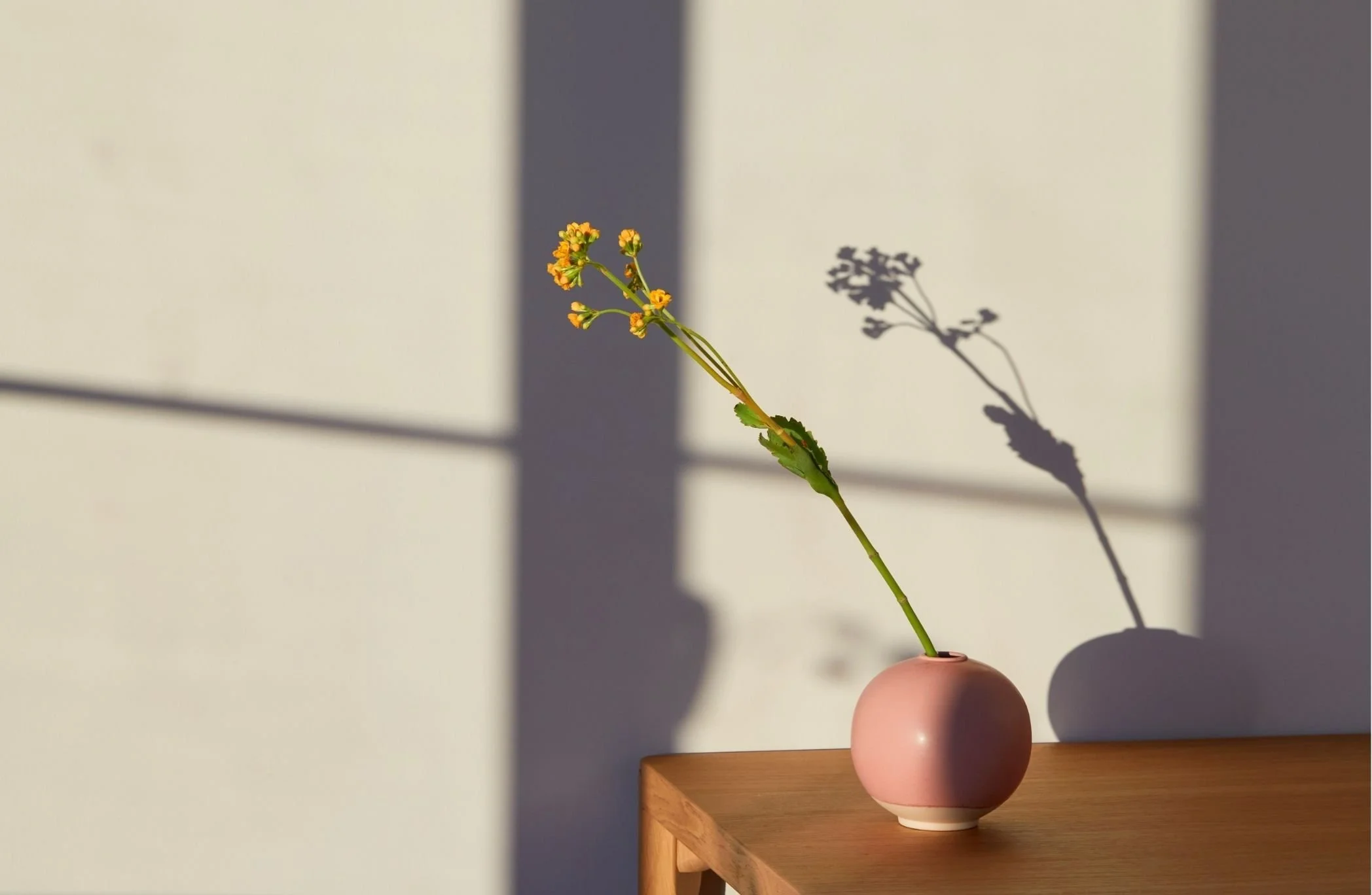 A small pink ceramic vase with a single green stem and yellow flowers is on a wooden surface, casting a shadow on the wall behind.