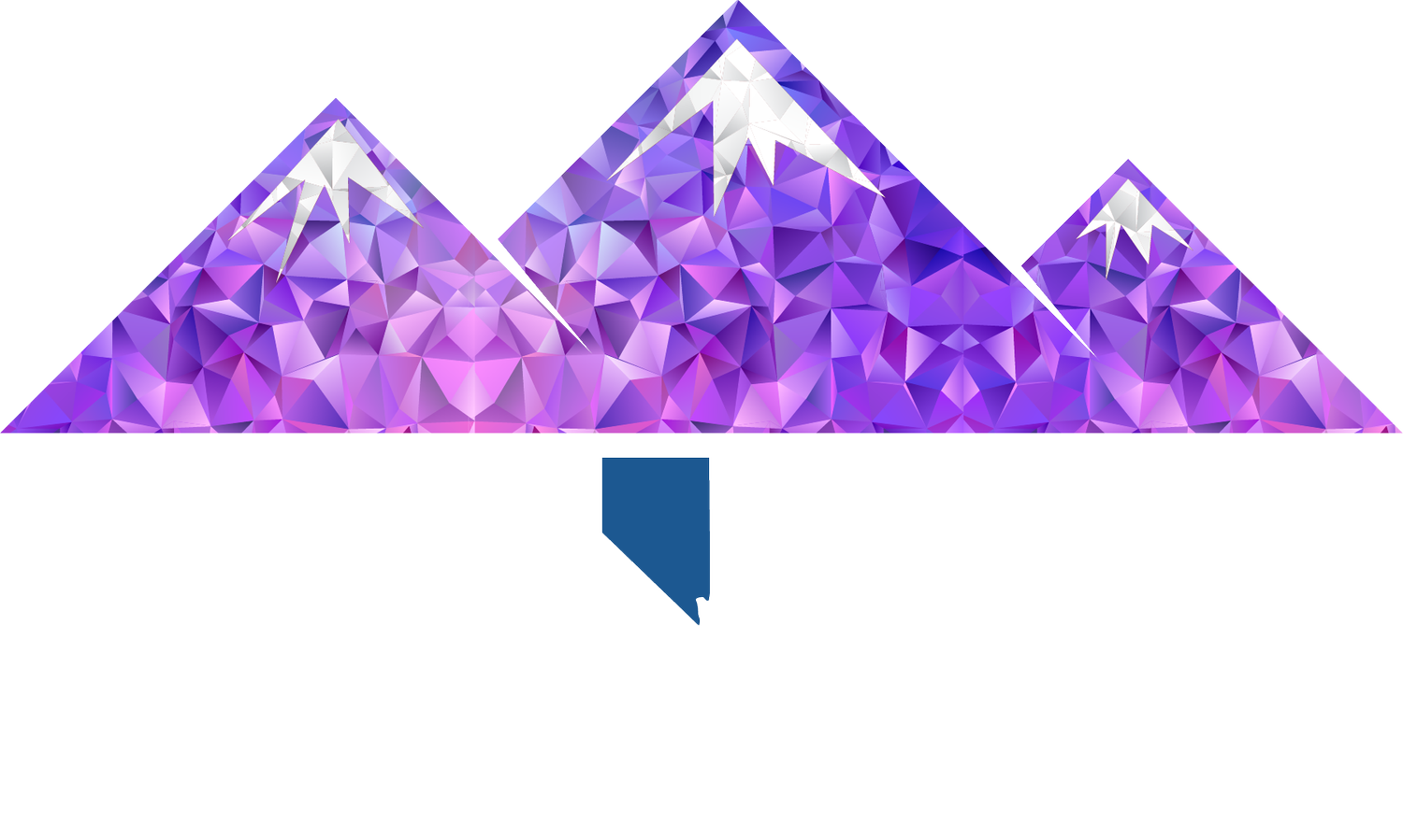  Elevated Payment Solutions 