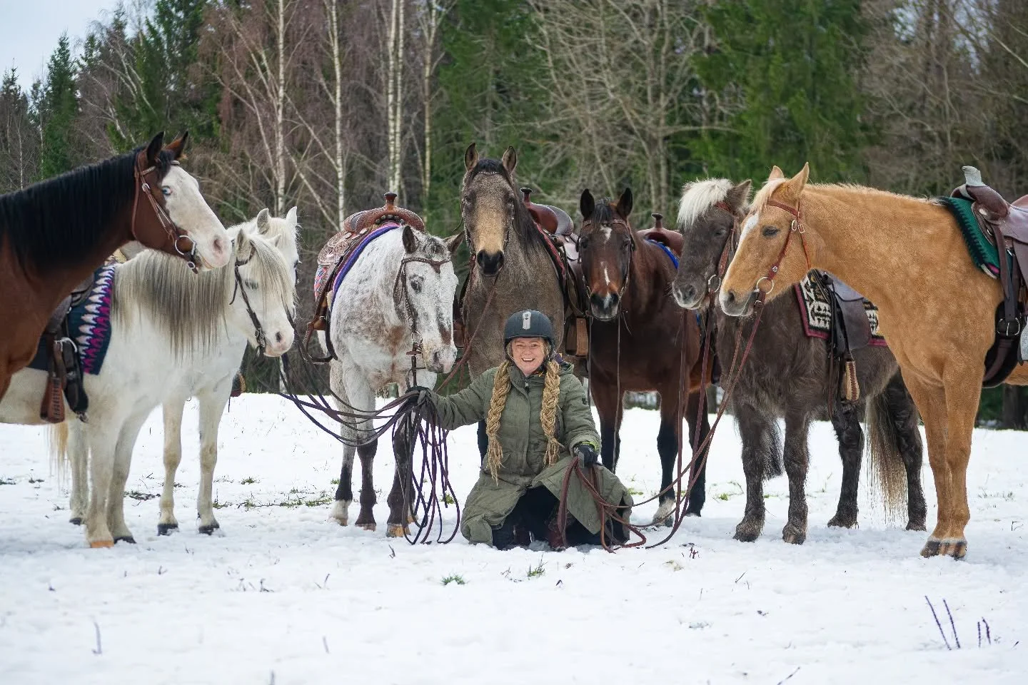 Tulossa! MAASTAK&Auml;SITTELYN PERUSKURSSI 21.2 ja JATKOKURSSI 22.2 KLO 10-15
Toivolassa toimivaan ja turvalliseen arkeen kuuluvat  toimivat hevoset. Jos hevonen ei toimi maastak&auml;sin, on turha menn&auml; selk&auml;&auml;n, koska moni ongelma on 