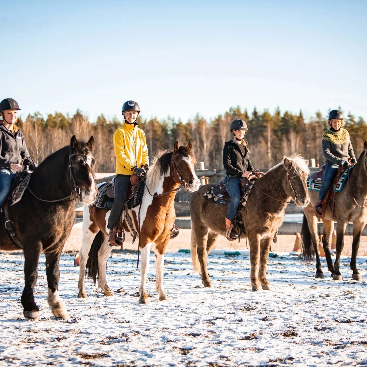 Rehevon kautta Toivola-tiimivaatteiden tilaus on taas t&auml;&auml;ll&auml;! Hanki kev&auml;thangille Toivolan tiimivaatteet. N&auml;ill&auml; kelpaa sitten edustaa @hevosetmessut lauantaip&auml;iv&auml; l&auml;pi (muistakaahan tuokin laittaa kalente