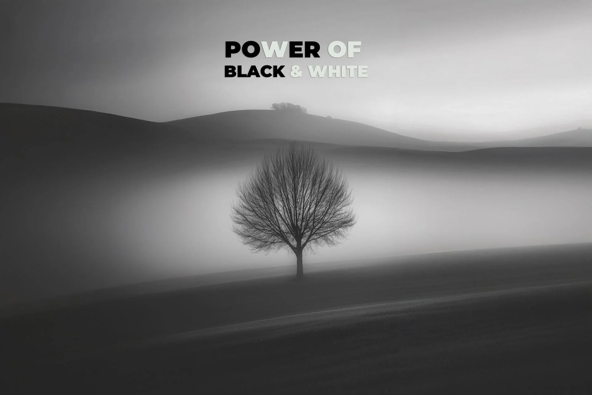 #40: The Secret to Powerful Black and White Photography