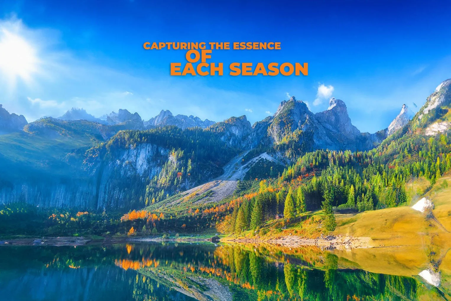 #86: Seasonal Landscapes: Capturing the Essence of Each Season