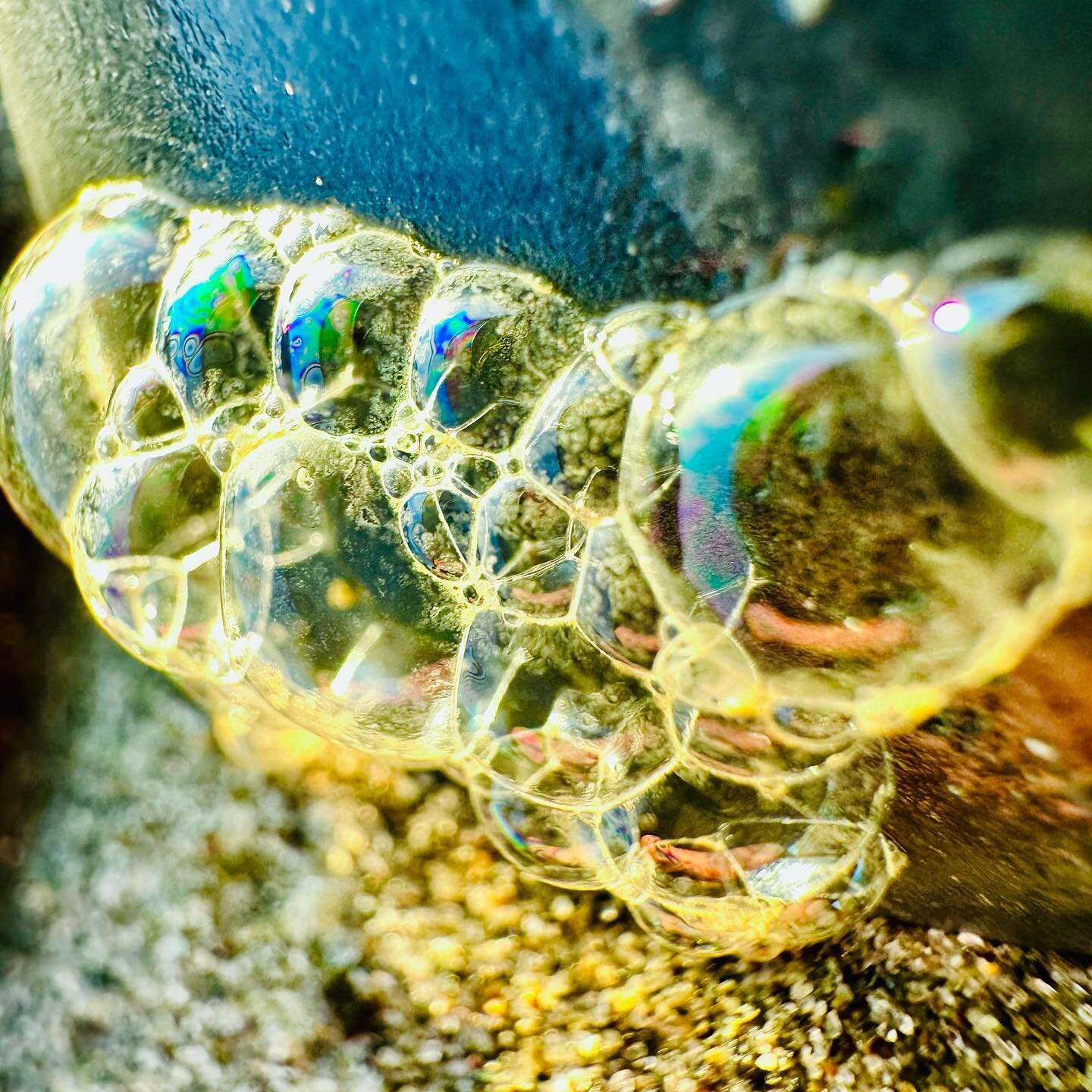 Bubbles reflecting the light of sunset on the shore of the Pacific Ocean and all of a sudden, anything is possible. 

#realtobeach #pacificocean #washington #olympicpeninsula #bubbles #rainbows #rocks #sand #reflection #photography #macro #art