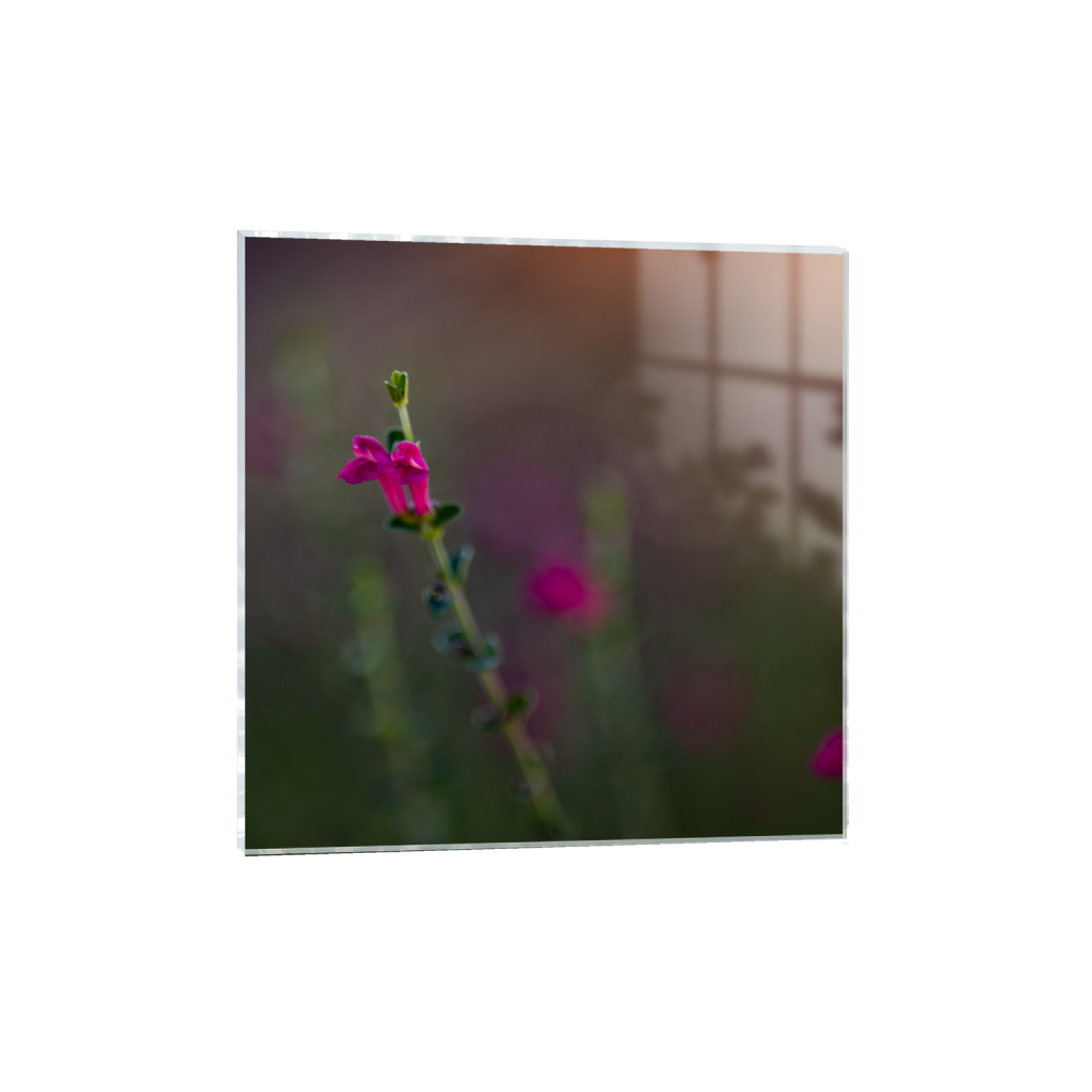 ptq_17_0_946_0_2667_2667_0_false_ffffff_0_0_.png