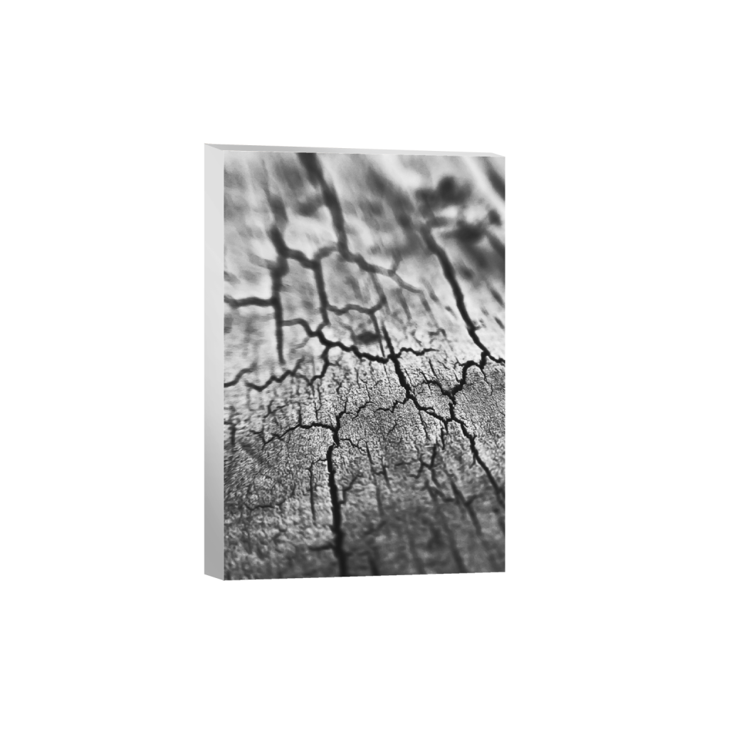 ptq_7_3_0_0_1200_1800_0_false_ffffff_0_0_.png