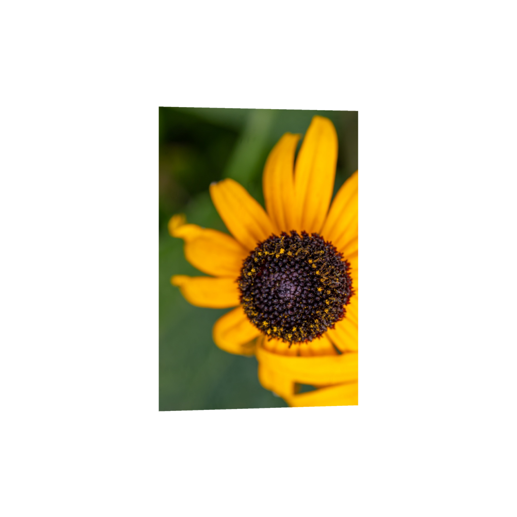 ptq_1_3_0_0_2408_3613_0_false_ffffff_0_0_.png