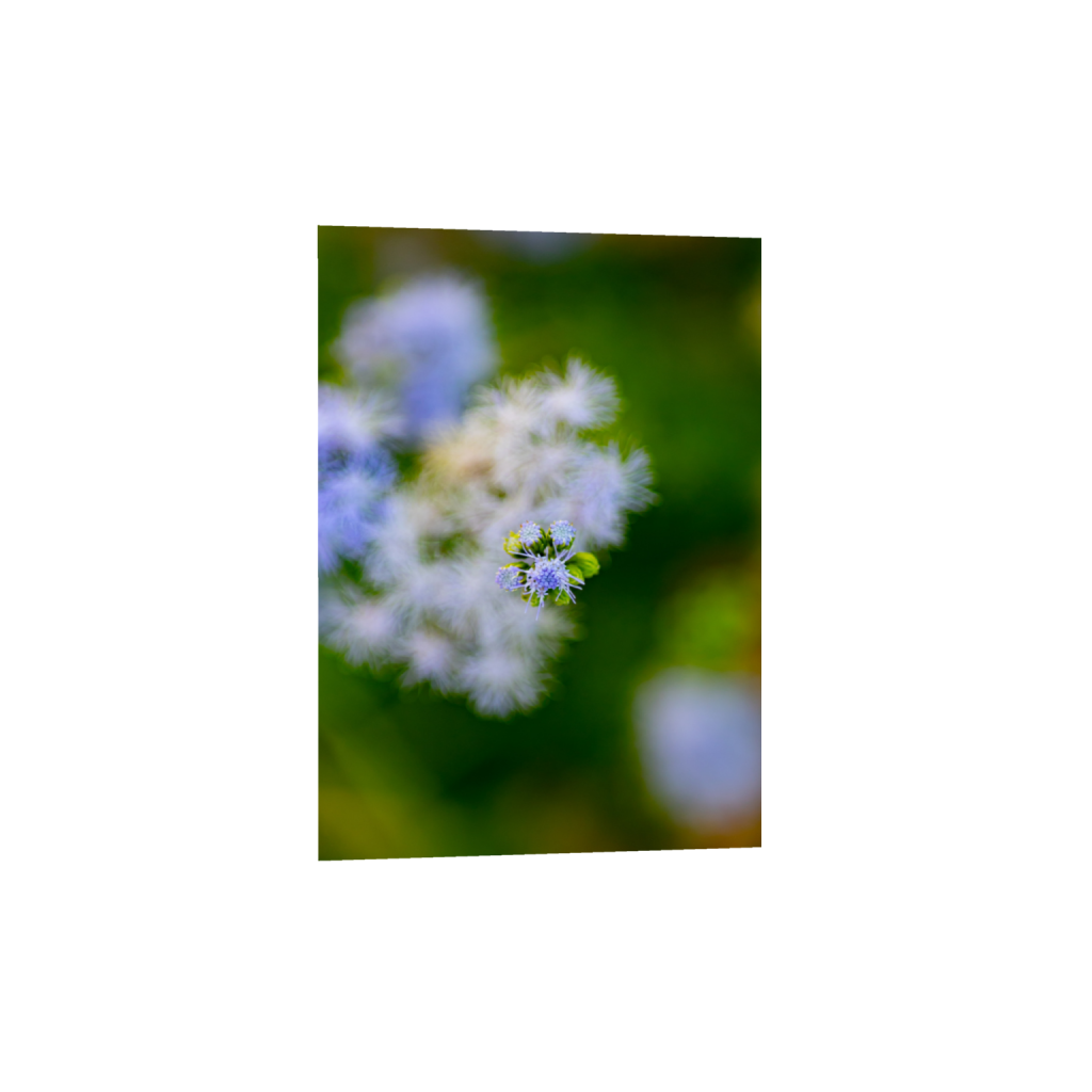 ptq_1_7_0_101_2039_2854_0_false_ffffff_0_0_.png