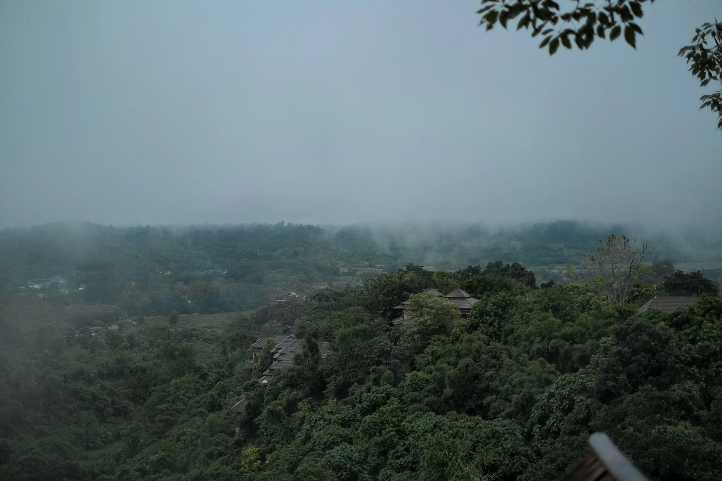 _DSF3137.jpg