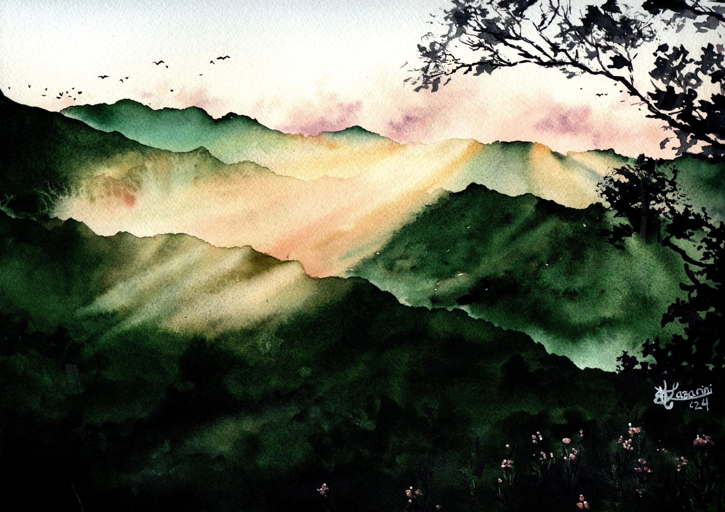 Where Light Still Falls