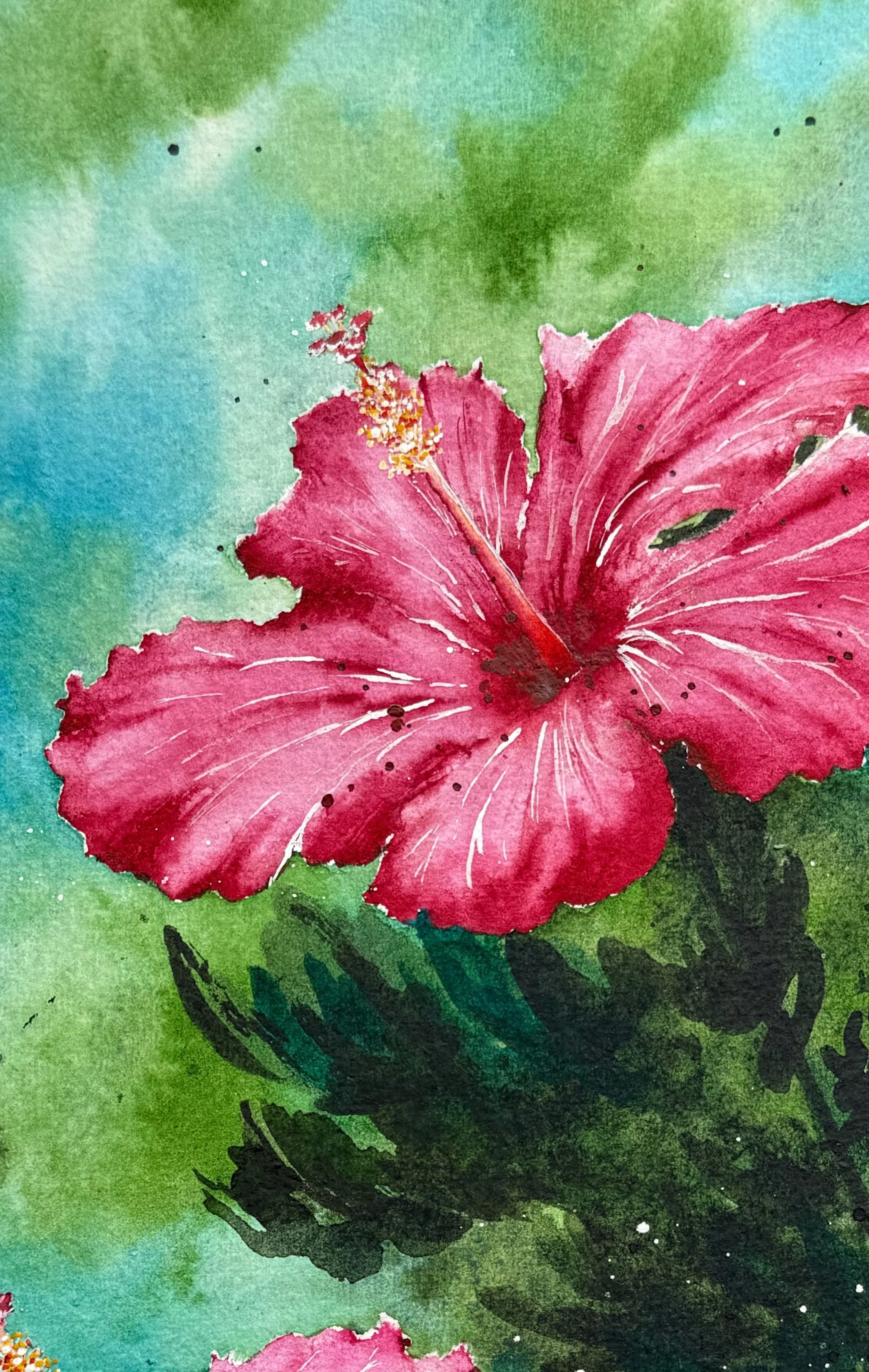 Hibiscus2.jpeg