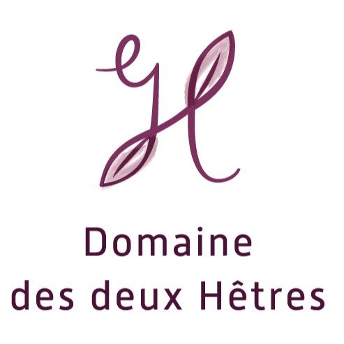 Le Domaine des Deux H&ecirc;tres est n&eacute; il y a deux ans. 

Le voil&agrave; maintenant dot&eacute; d'une identit&eacute; graphique dont la pointe de l'iceberg est le logo.

Un logo qui raconte une histoire simple. Un G et un E qui forment un H 