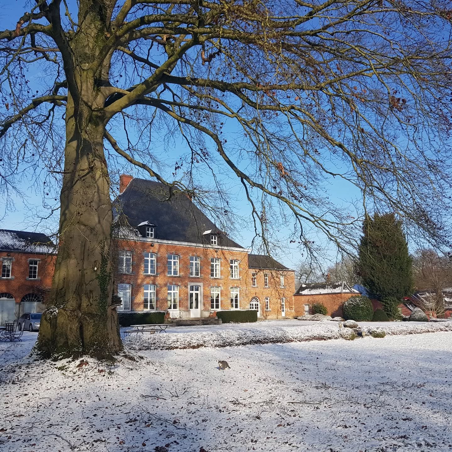 Souvenirs des premiers jours de l'ann&eacute;e 2026 🐾