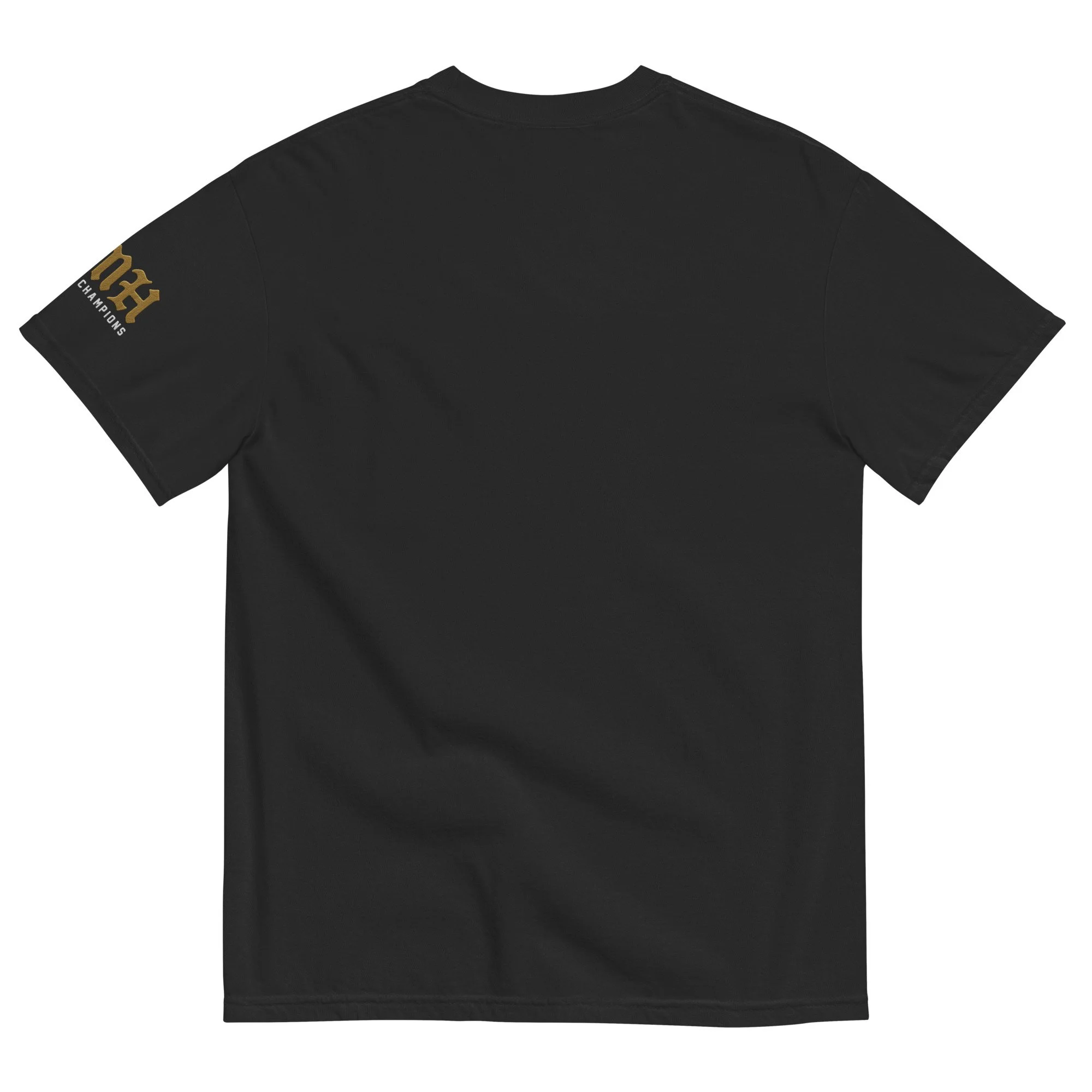 unisex-garment-dyed-heavyweight-t-shirt-black-back-689b7d3327917.jpg