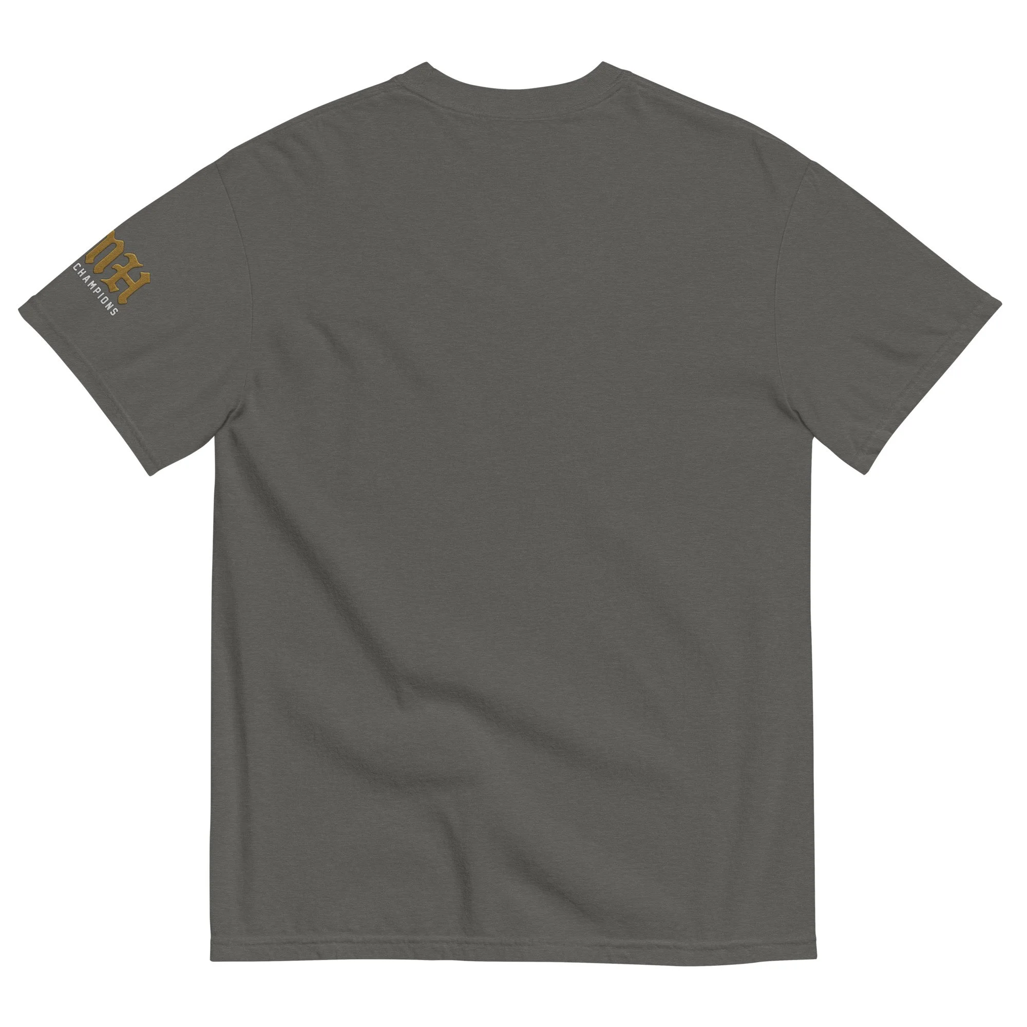 unisex-garment-dyed-heavyweight-t-shirt-pepper-back-689b7d332931e.jpg
