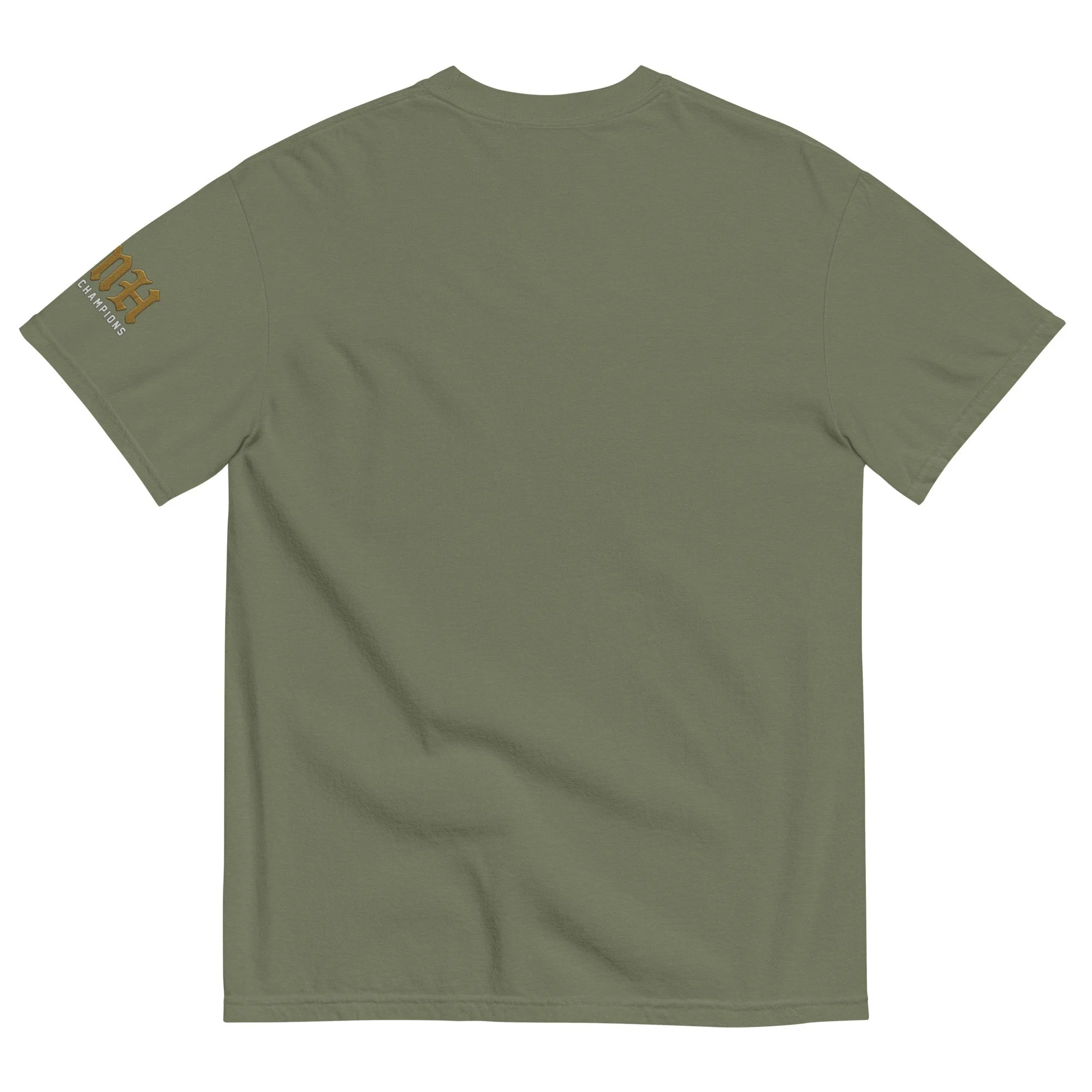 unisex-garment-dyed-heavyweight-t-shirt-moss-back-689b7d332a596.jpg