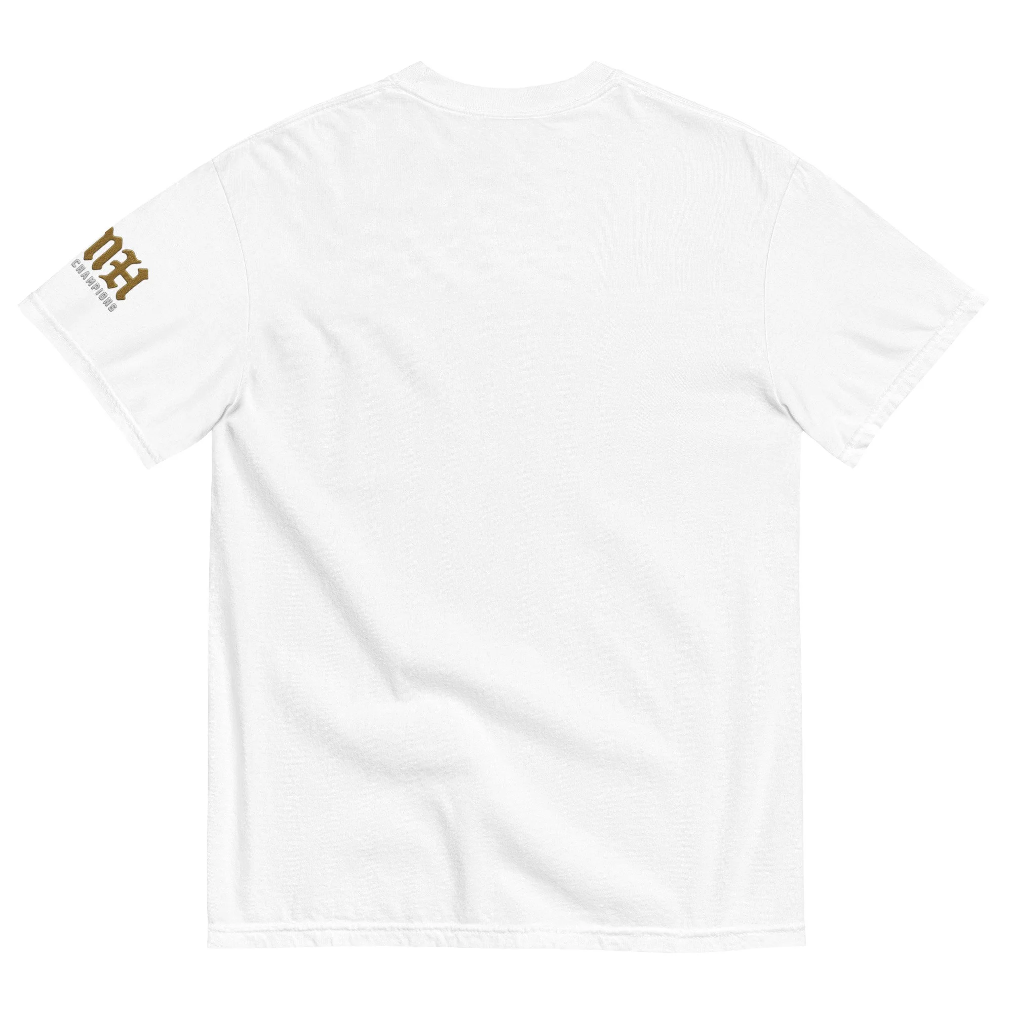 unisex-garment-dyed-heavyweight-t-shirt-white-back-689b7d332c164.jpg