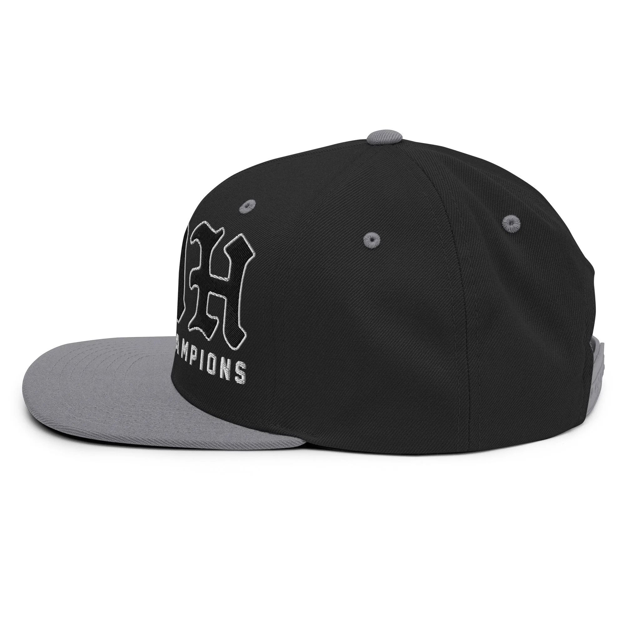classic-snapback-black-silver-left-side-689d0721264b7.jpg
