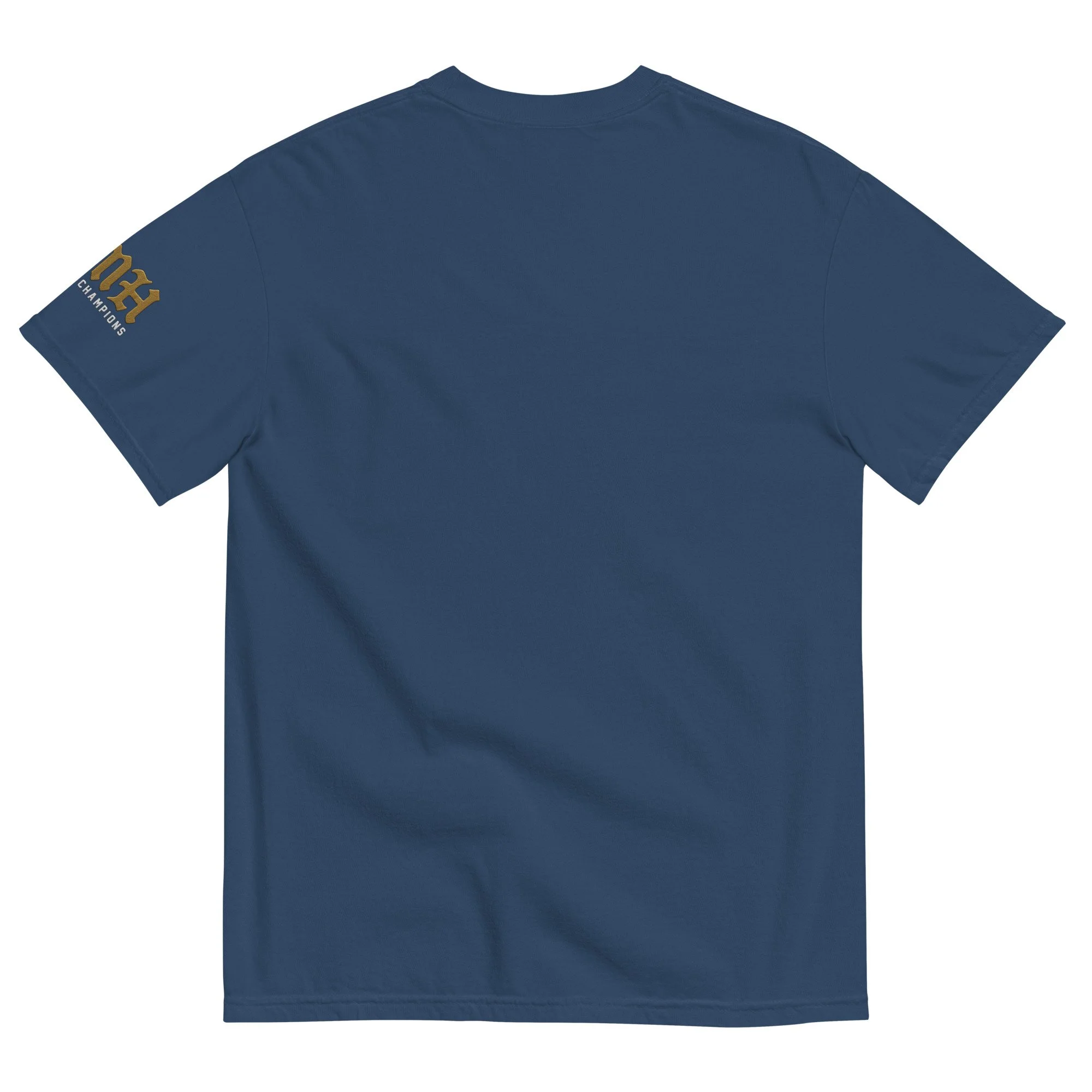 unisex-garment-dyed-heavyweight-t-shirt-true-navy-back-68a126e49b9f6.jpg