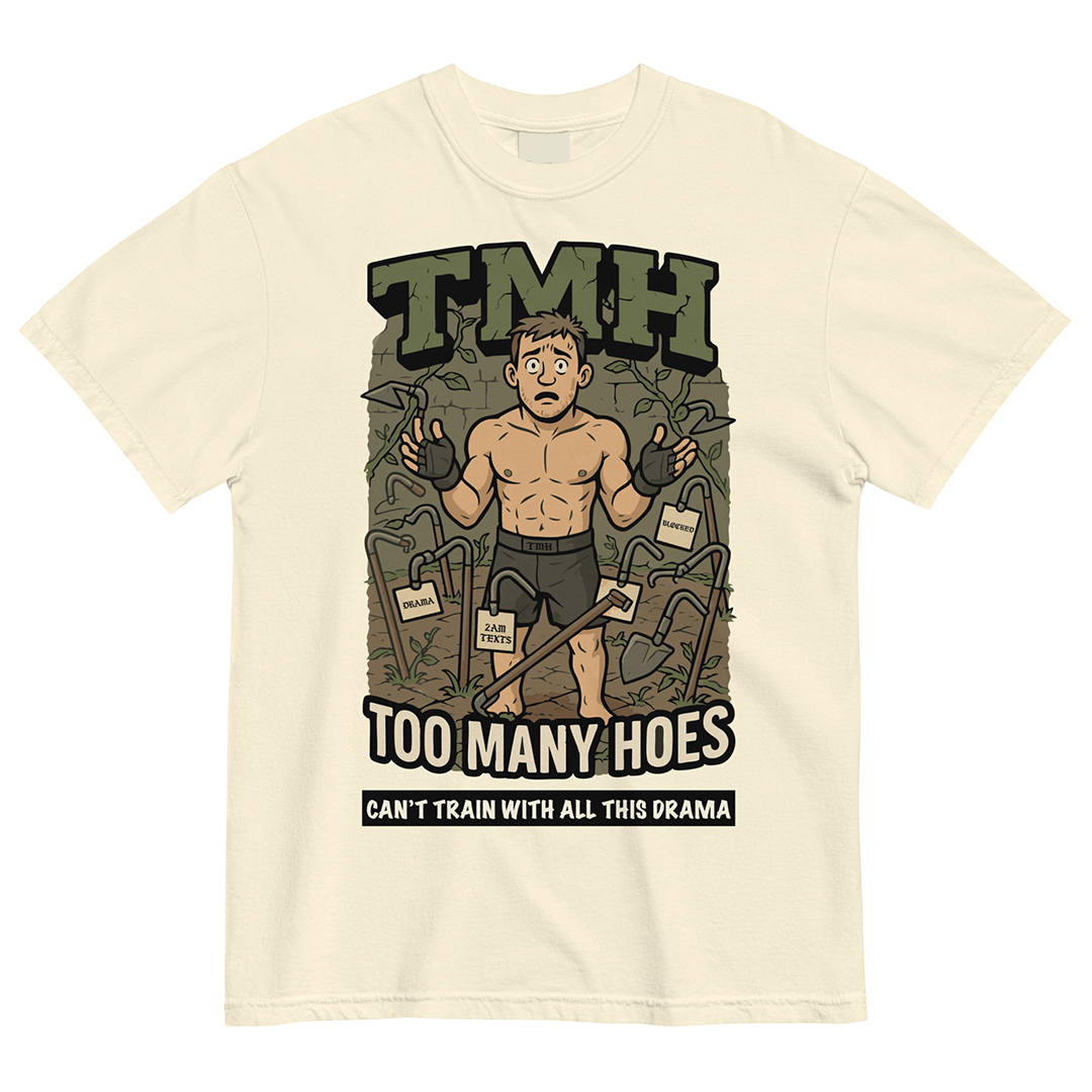 toomanyhoesiv.png