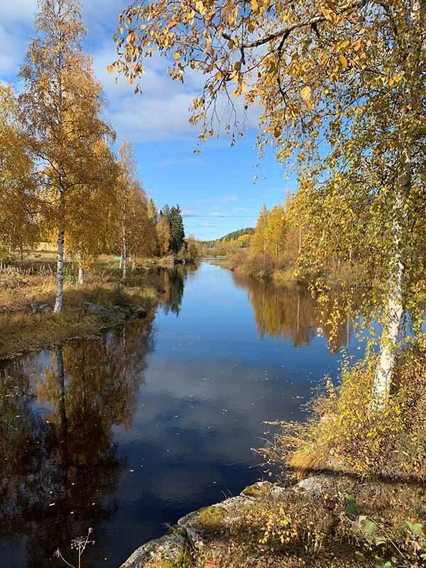 Varför bo i Bredbyn — Bröderna Erikssons Fastigheter och FiA Framtid i ...