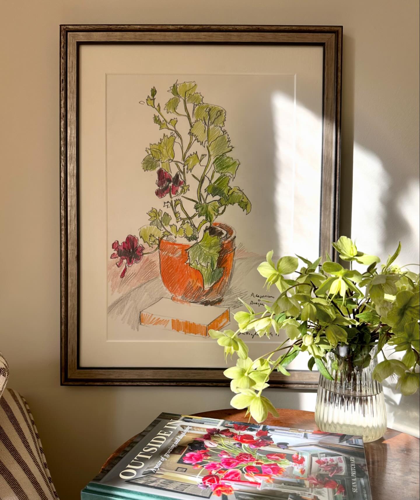 A wonderfully joyful and leggy Geranium by the celebrated artist, master gardener and bon viveur Teddy Millington-Drake (1932 - 1994) is basking in the spring sunshine here today.

Pelargonium Braque, 1979
Teddy Millington-Drake (1932 - 1994)
Signed,