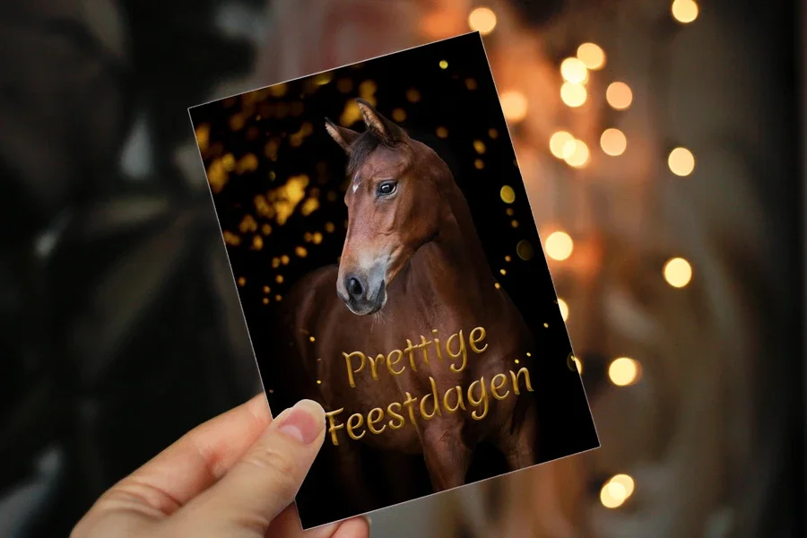 Shop-kerstkaart_zDYrs.webp