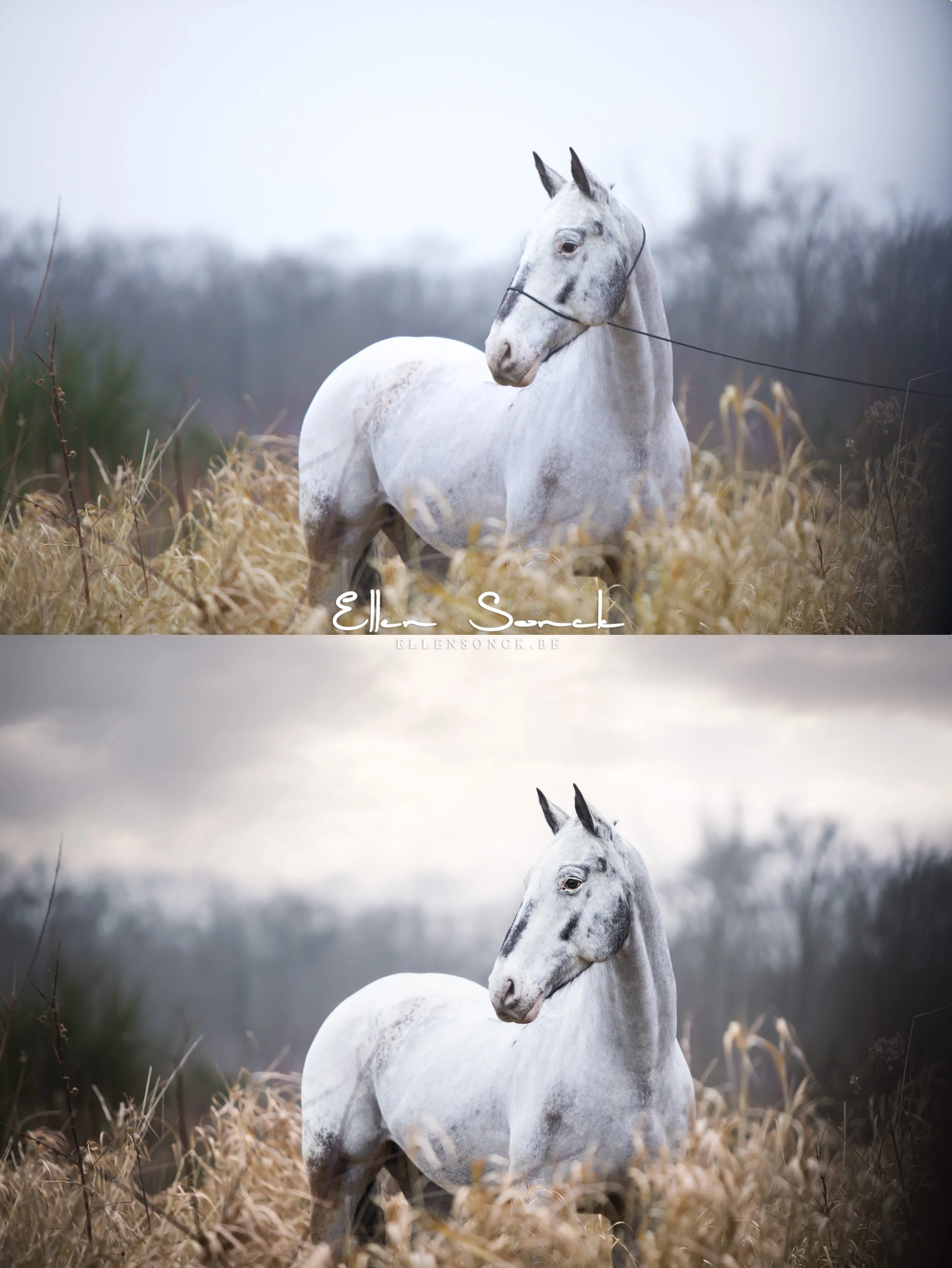 Cloudy-skies-overlays-voorbeeld.jpg