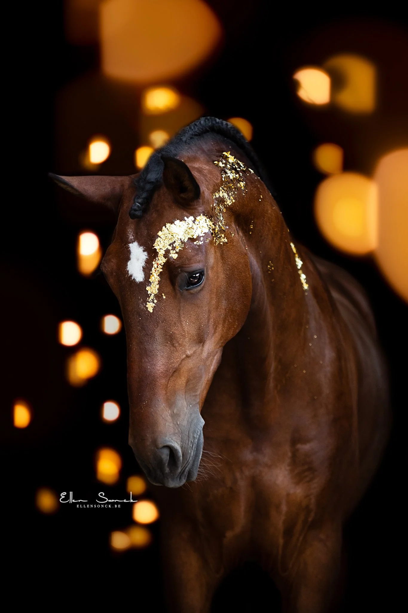 Shop-iago-glitter-bokeh.jpg