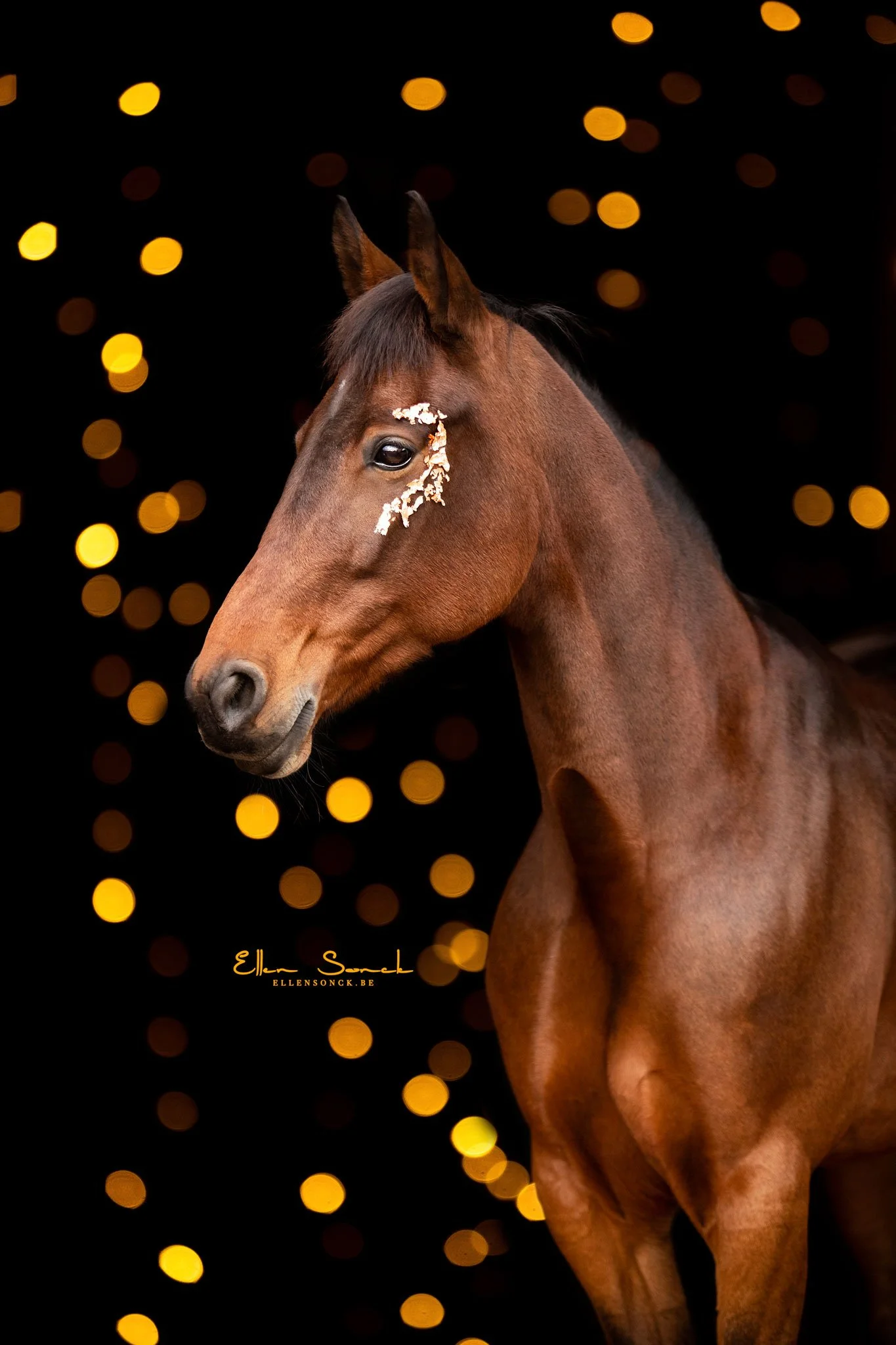 shop-bokeh-lights-golden.jpg