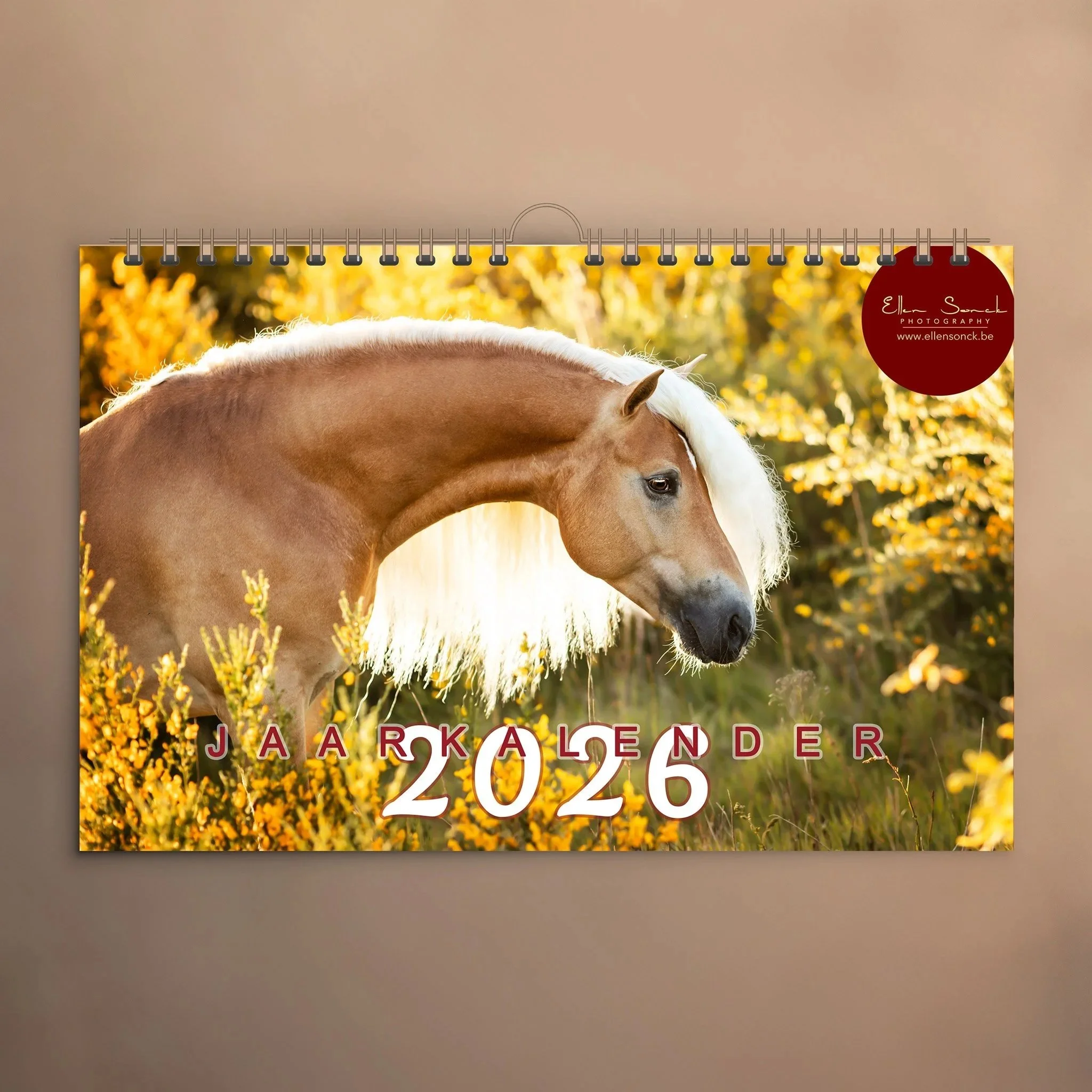 Mockup-2026.jpg