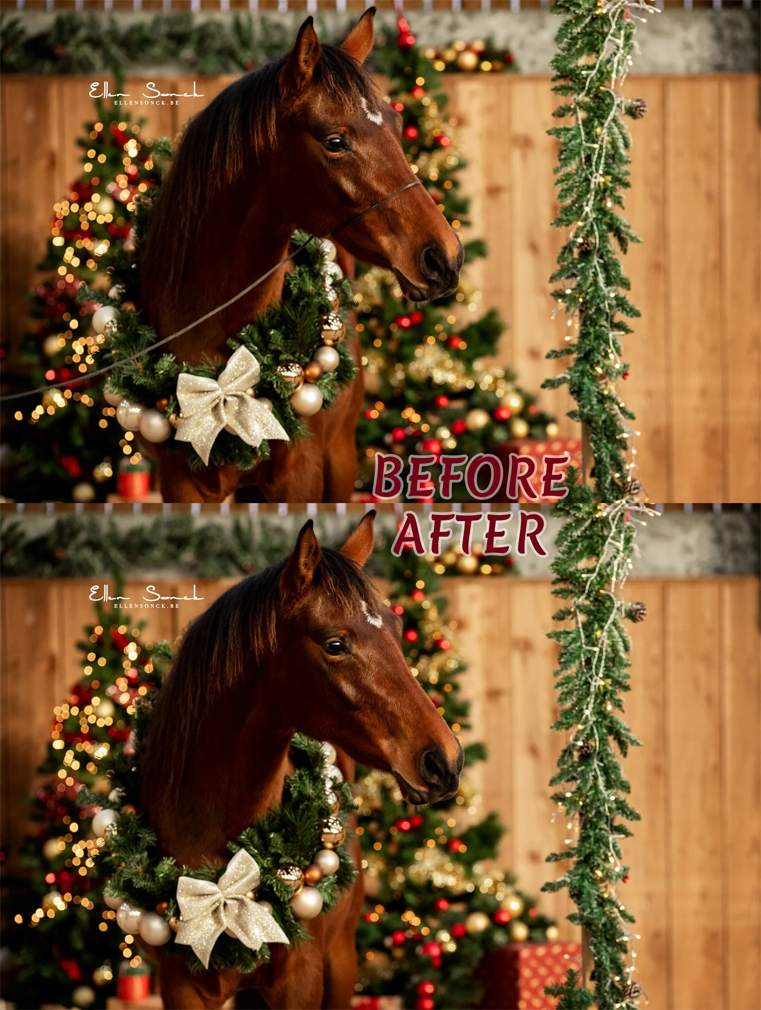 Fotohalster-ESP_9059-Edit.jpg
