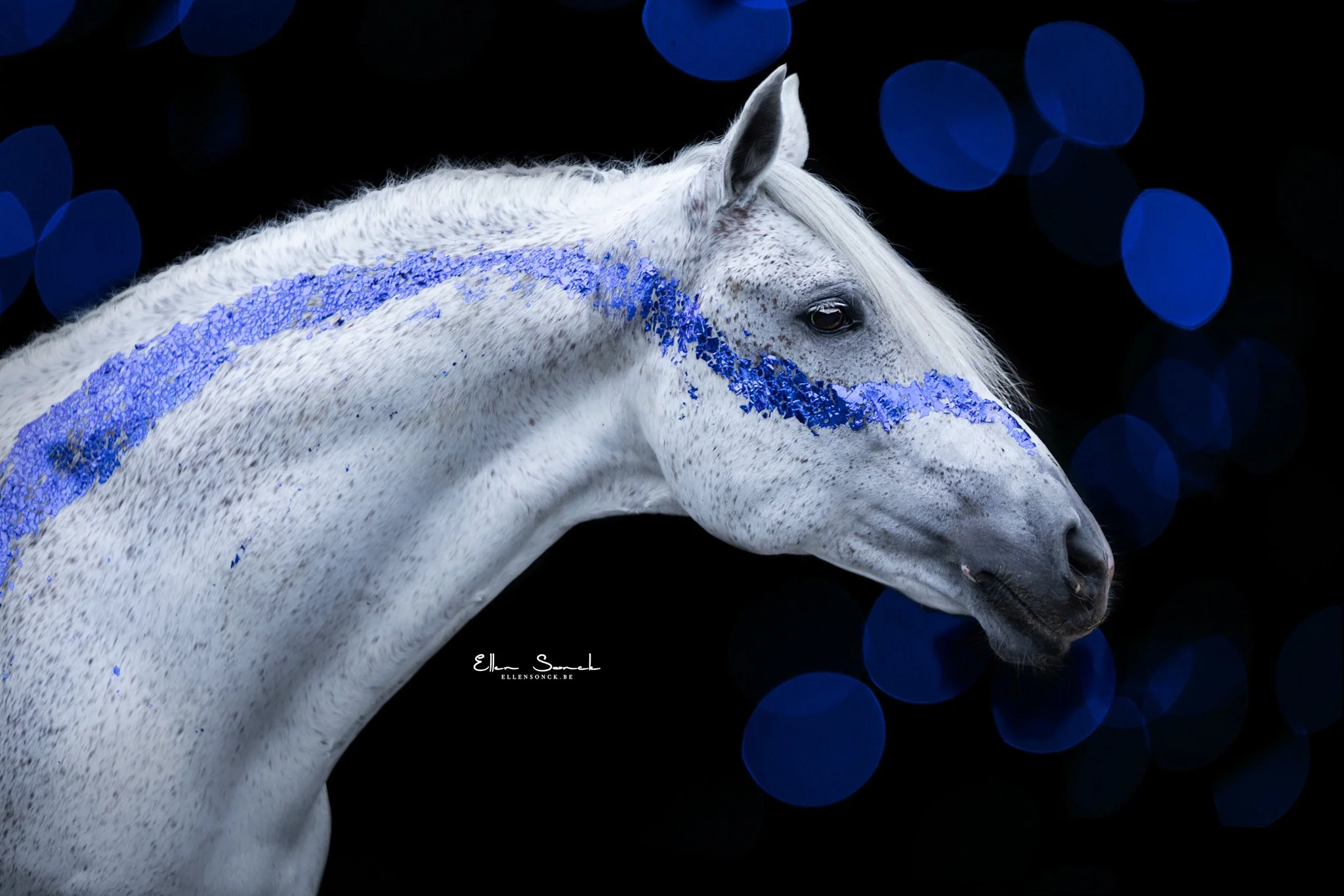 shop-bokeh-overlay-blauw.jpg