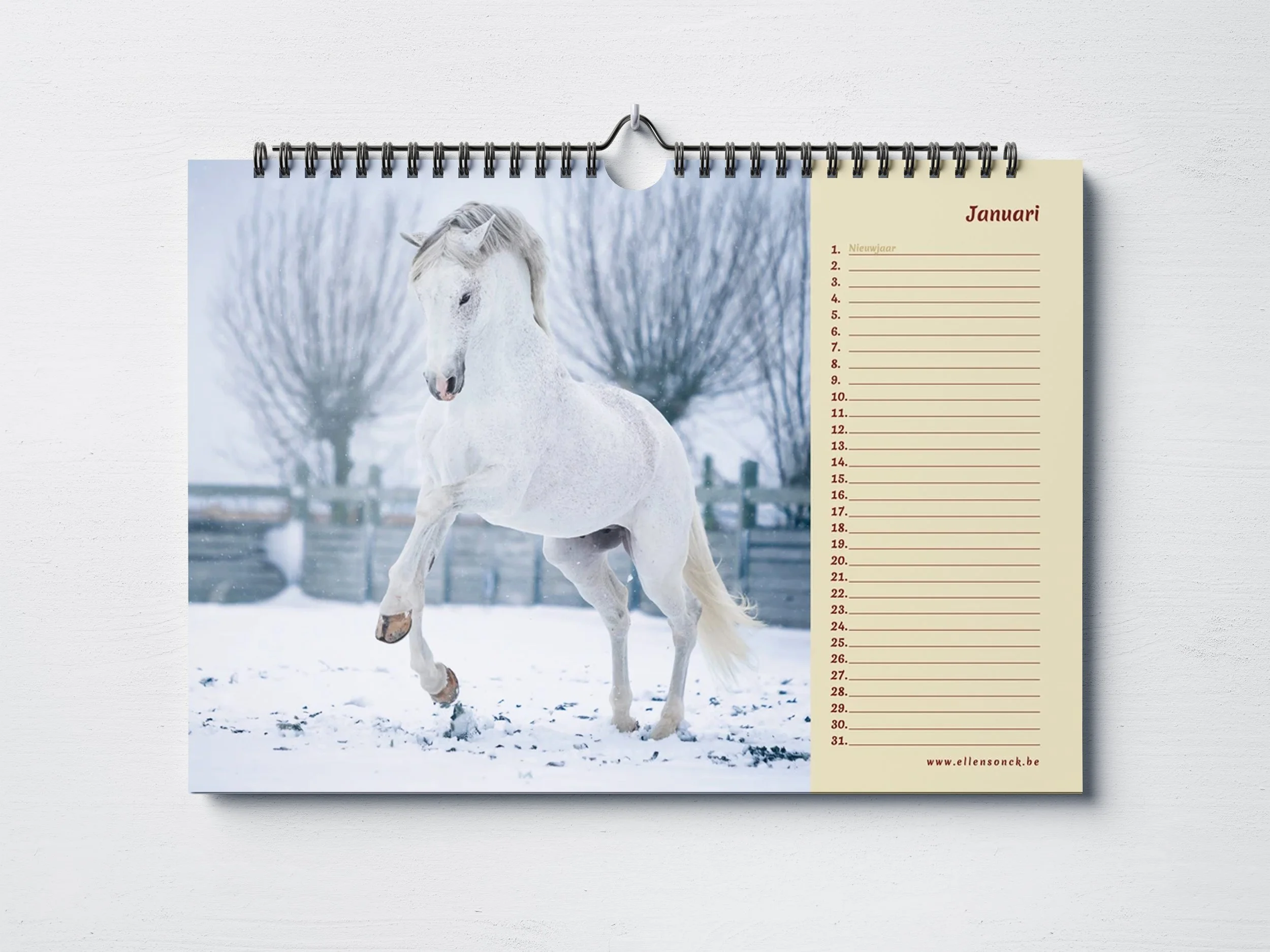 Verjaardagskalender-mochup-januari copy.jpg