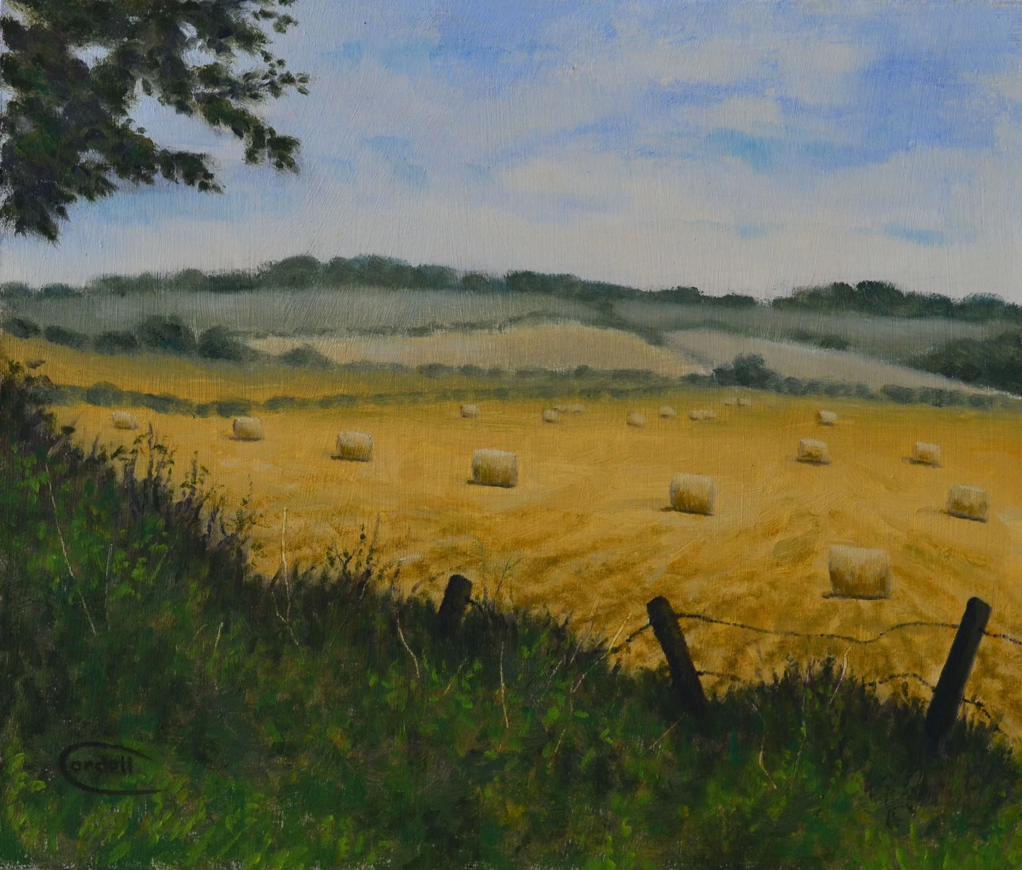 Harvest, Brampton Valley