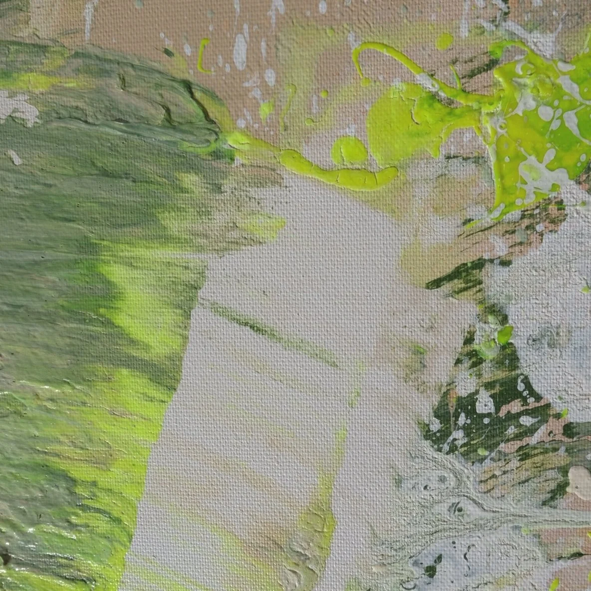 4AB55E88-528A-4C1F-AA34-DBF9892F9F6F-59484-00001BEF49FB5EAB.jpg