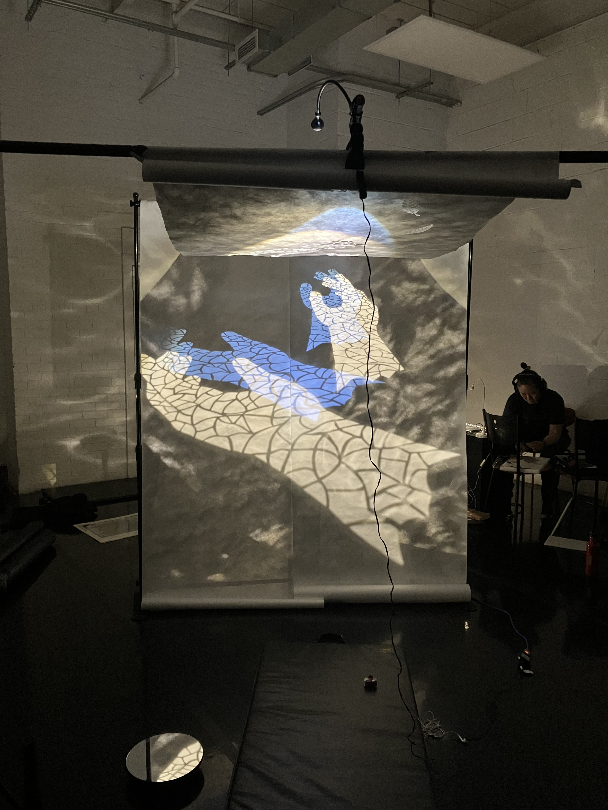 Heidi Chan Collaboration