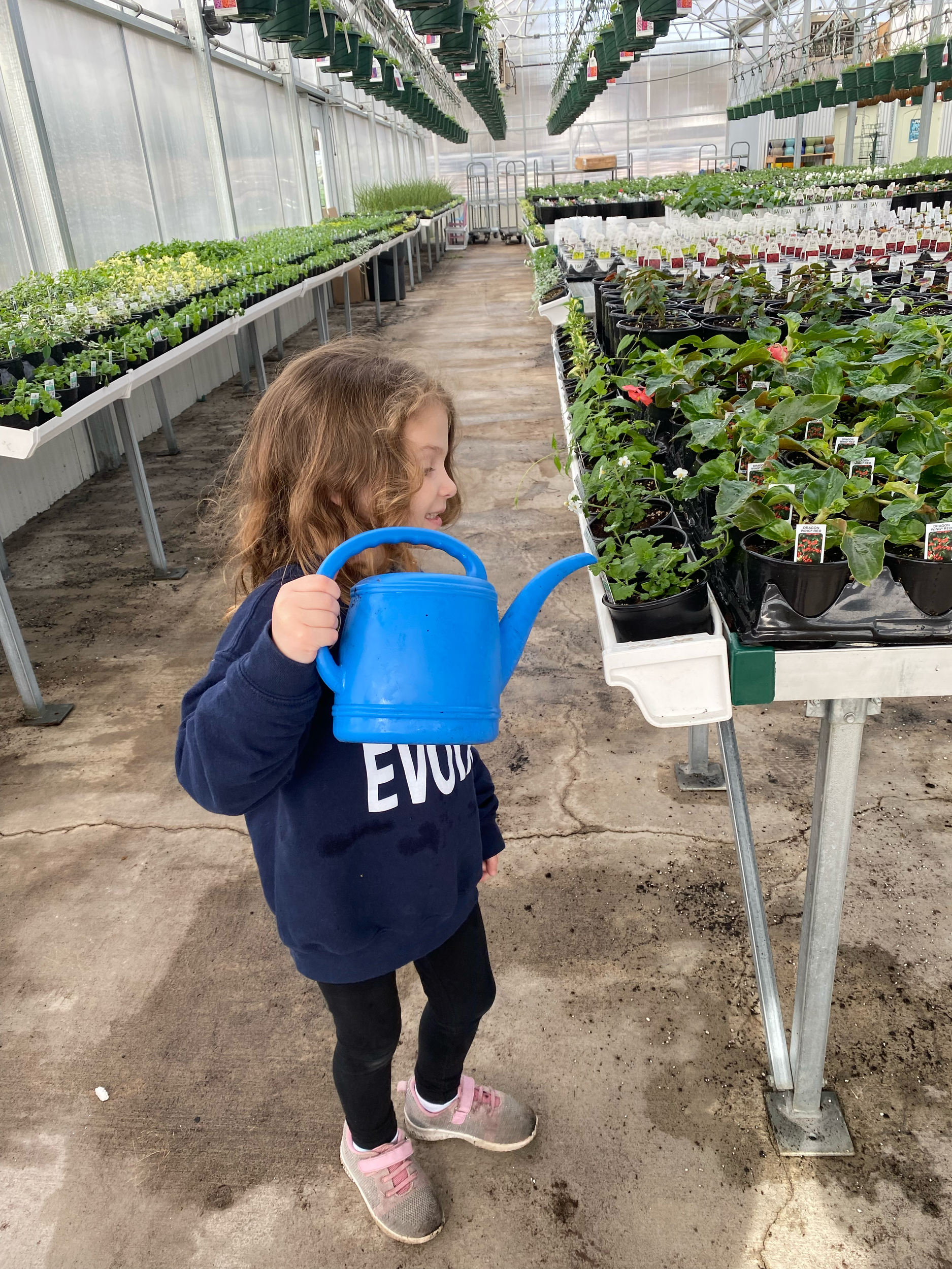 Northern Michigan seasonal garden center