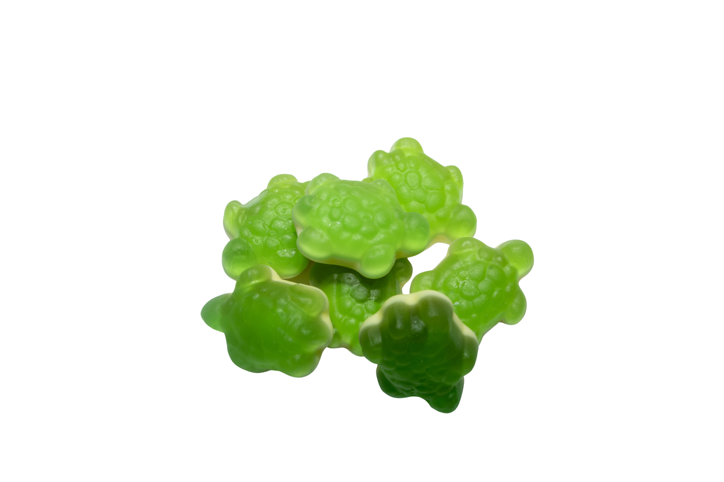 Kingsway Bubblegum Turtles