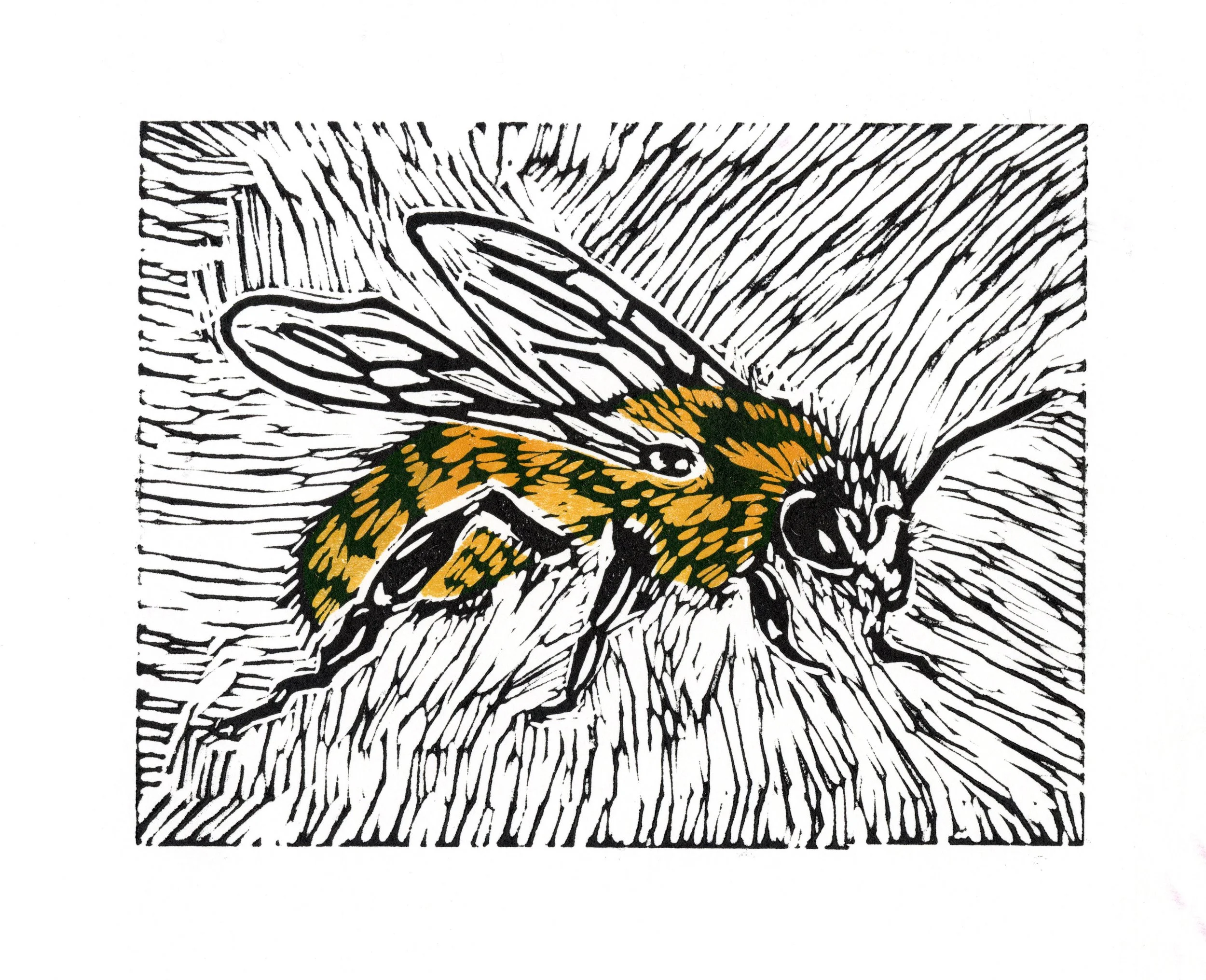 Honey Bee - Lino, 2021