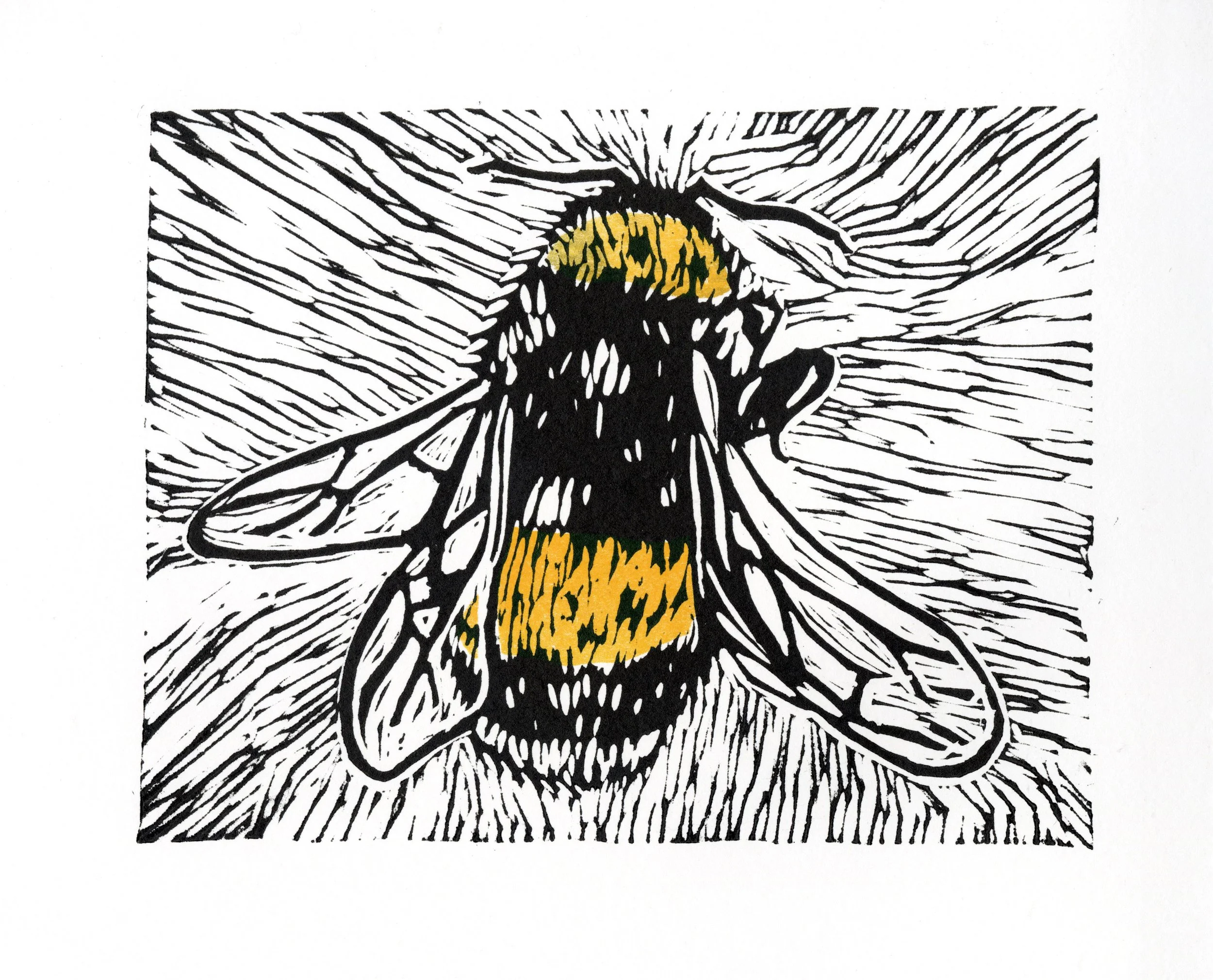 Bumble Bee - Lino, 2021