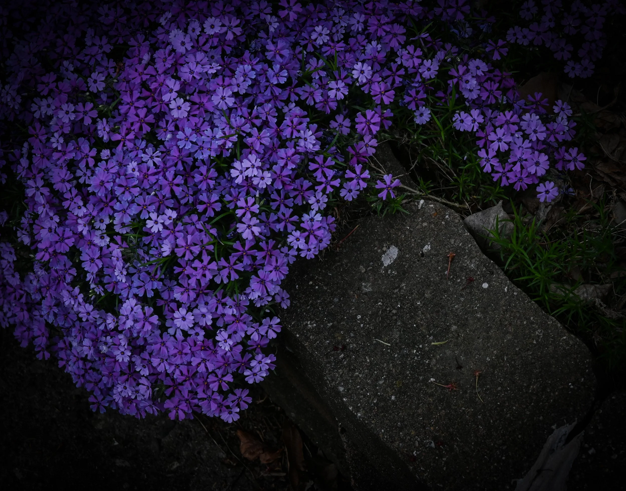 spilling over