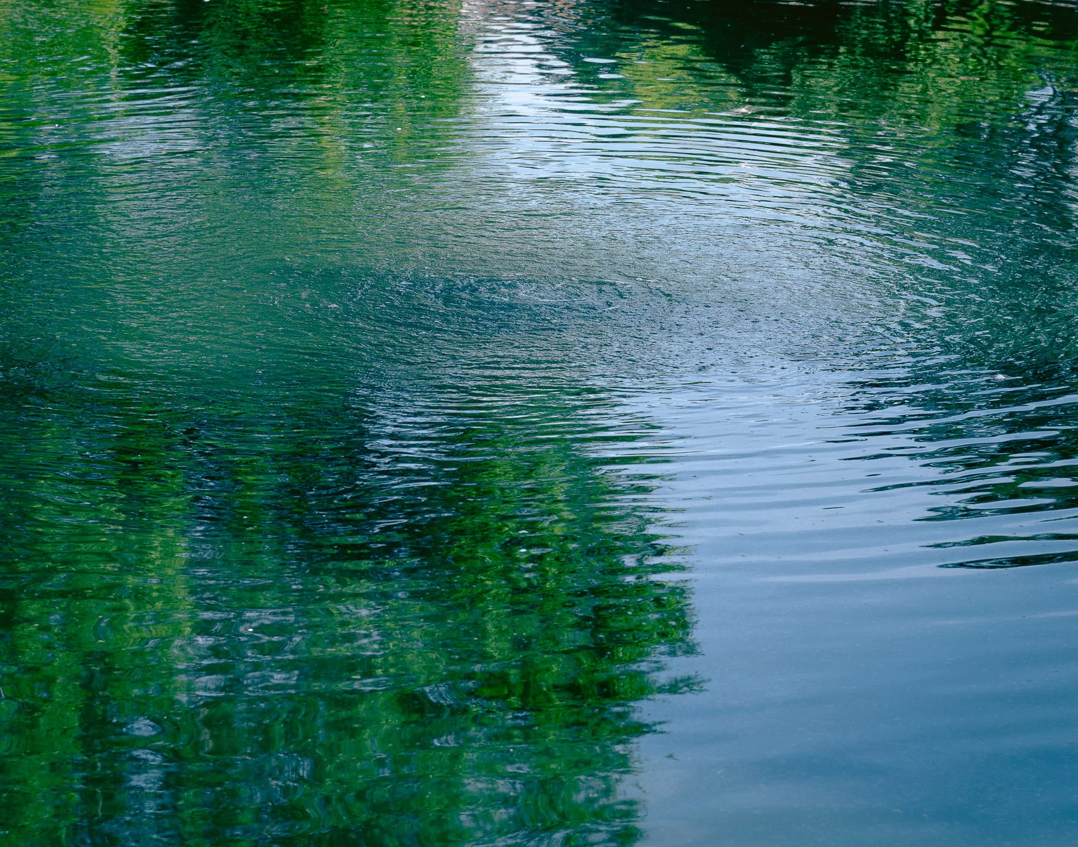 DSC_8074-2.jpg