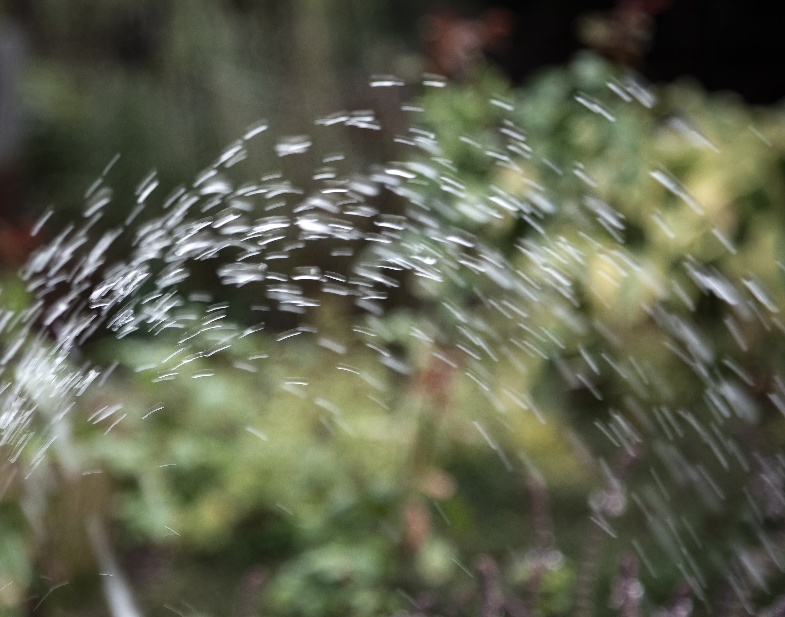 waterscape 33