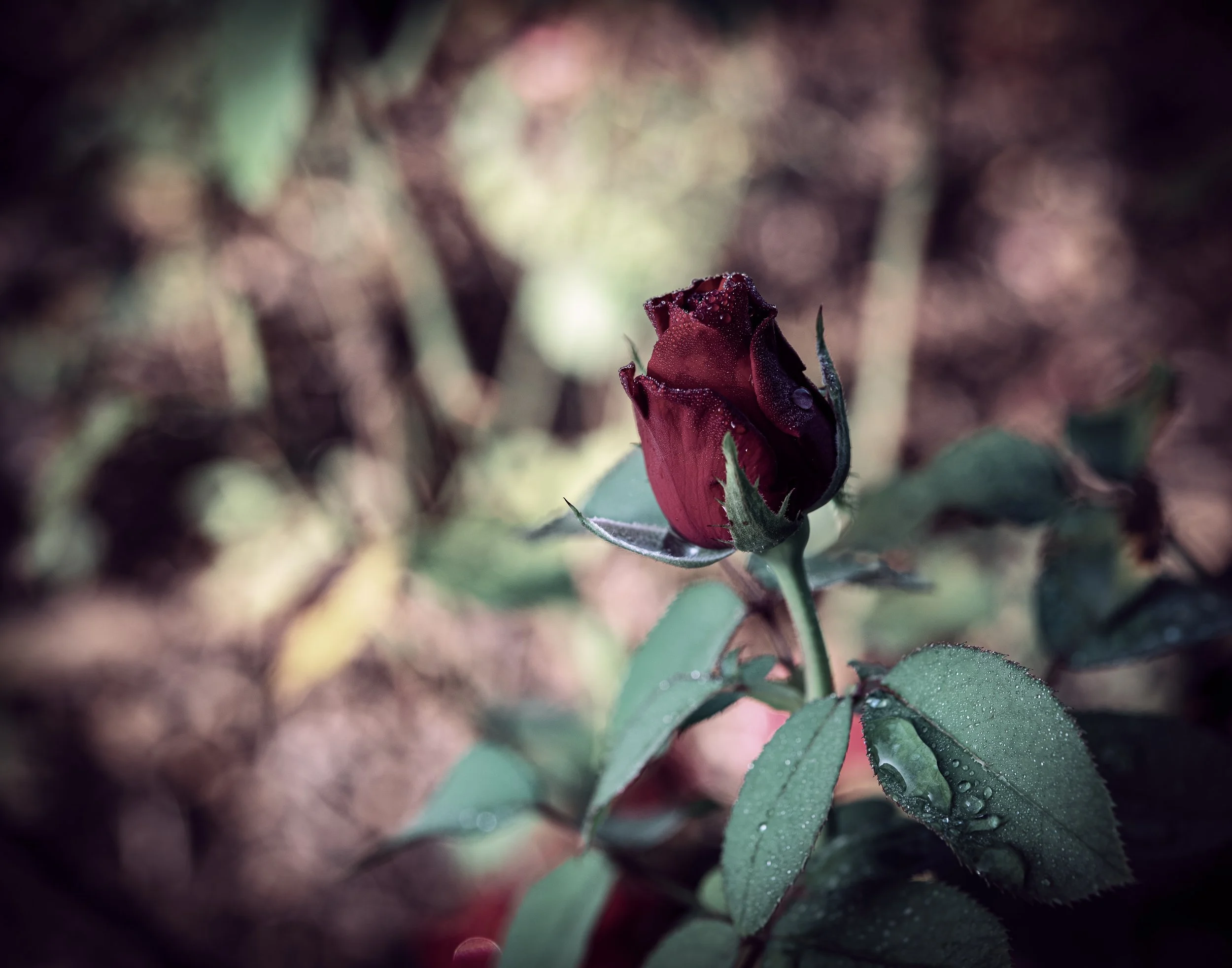 deep red