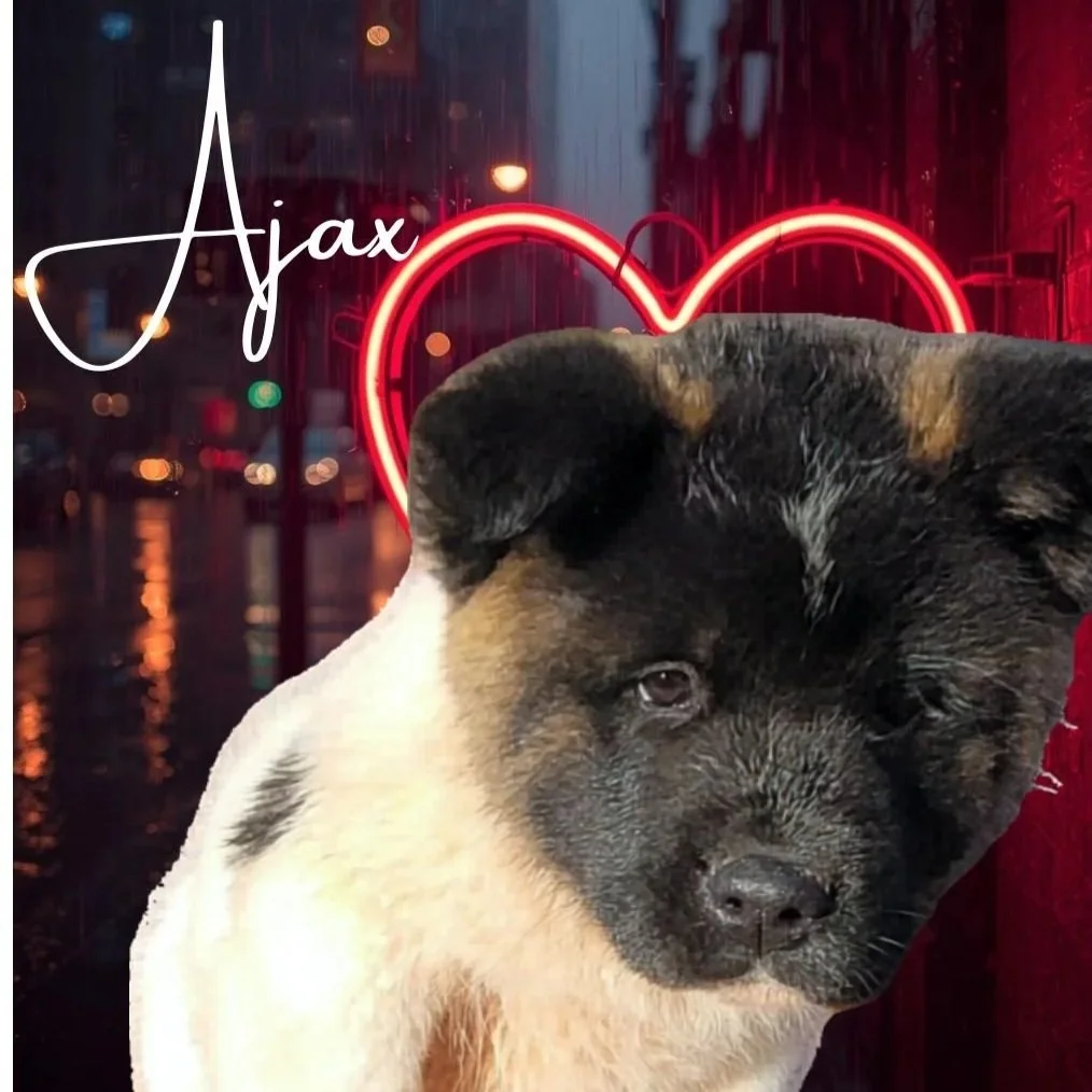 Ajax (previously Dexter)