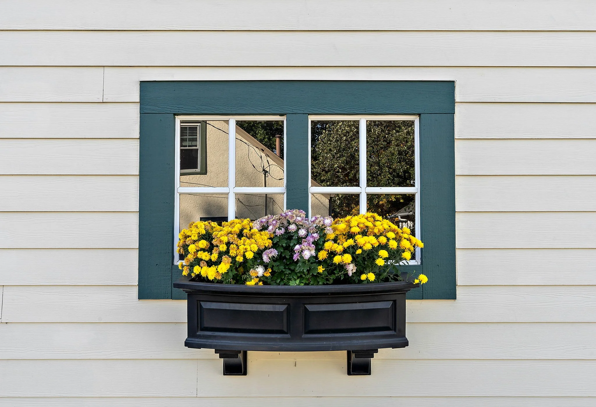 Reflections From a Short-Term Rental Host: 📚Why Regulation Matters More Than Prohibition⚖️