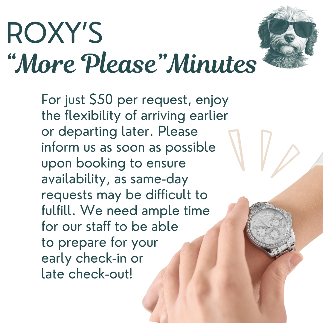 Flyer advertising a service called 'More Please' Minutes, for $50 per request, allowing earlier arrivals or later departures. Shows a dog with sunglasses, a hand wearing a watch, and has text explaining booking details.