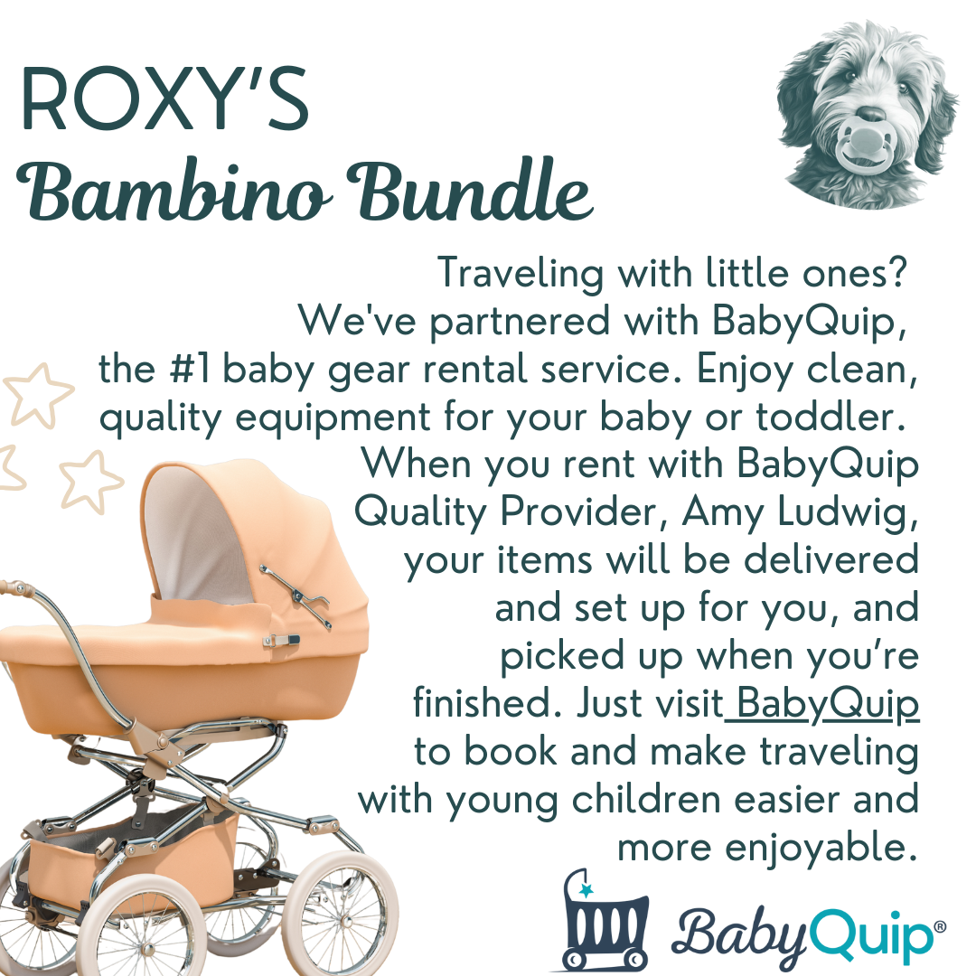 An advertisement for Roxy's Bambino Bundle, a baby gear rental service partnership with BabyQuip, featuring a peach-colored baby stroller, a gray dog with a pig nose, and star icons.