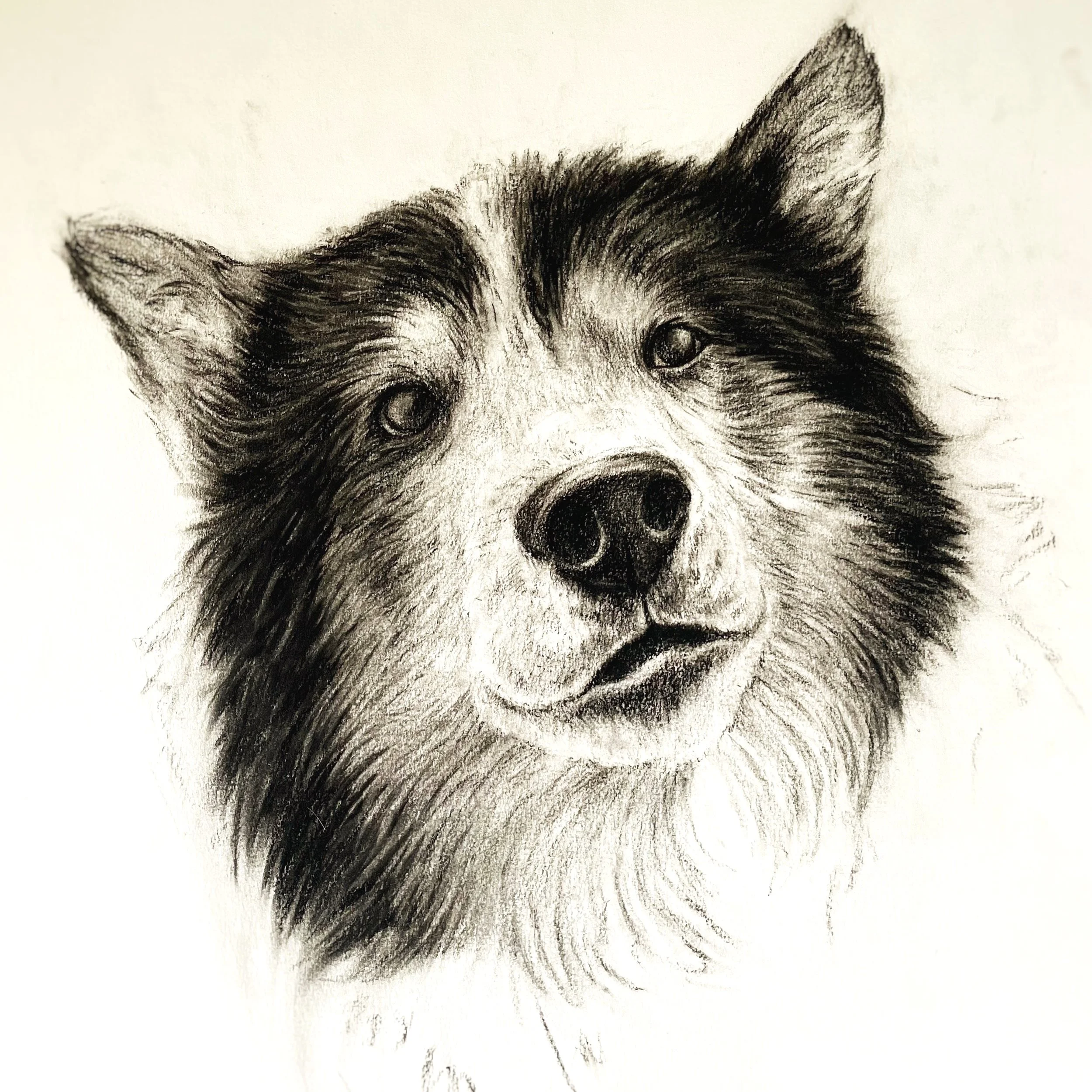 charcoal drawing